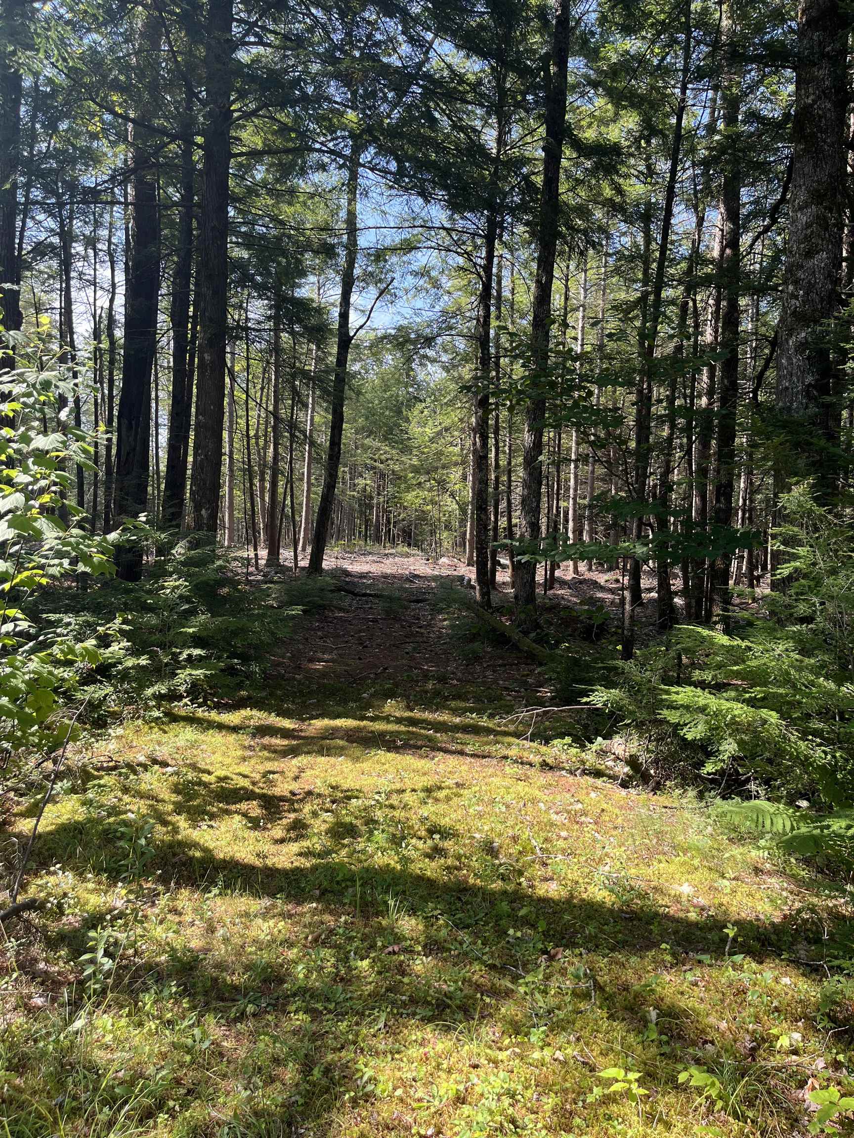 Tuftonboro NH Land for sale $$115,000 | 5 Acres  | Price Per Acre $0 