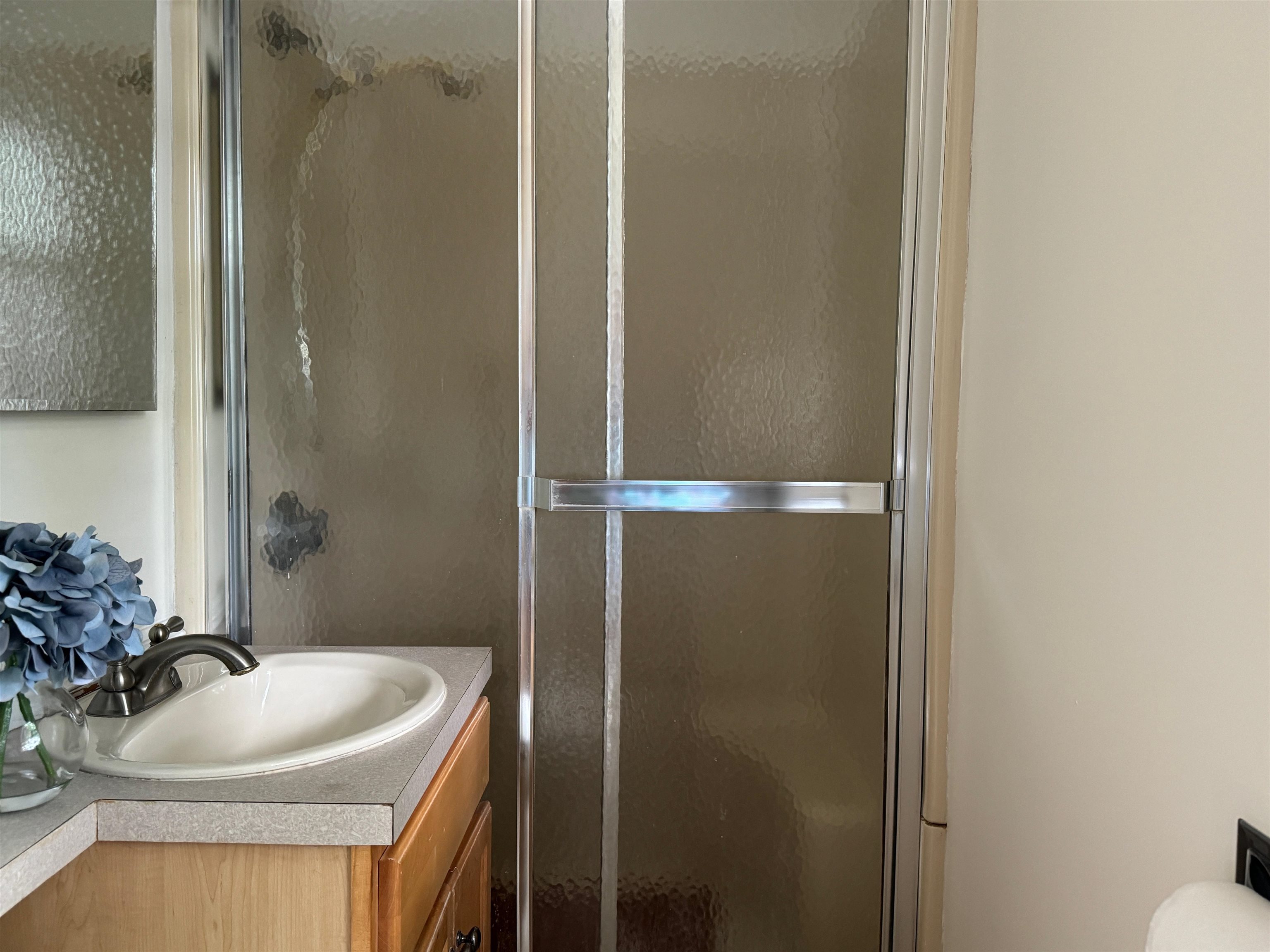 MLS #5056679 image #10