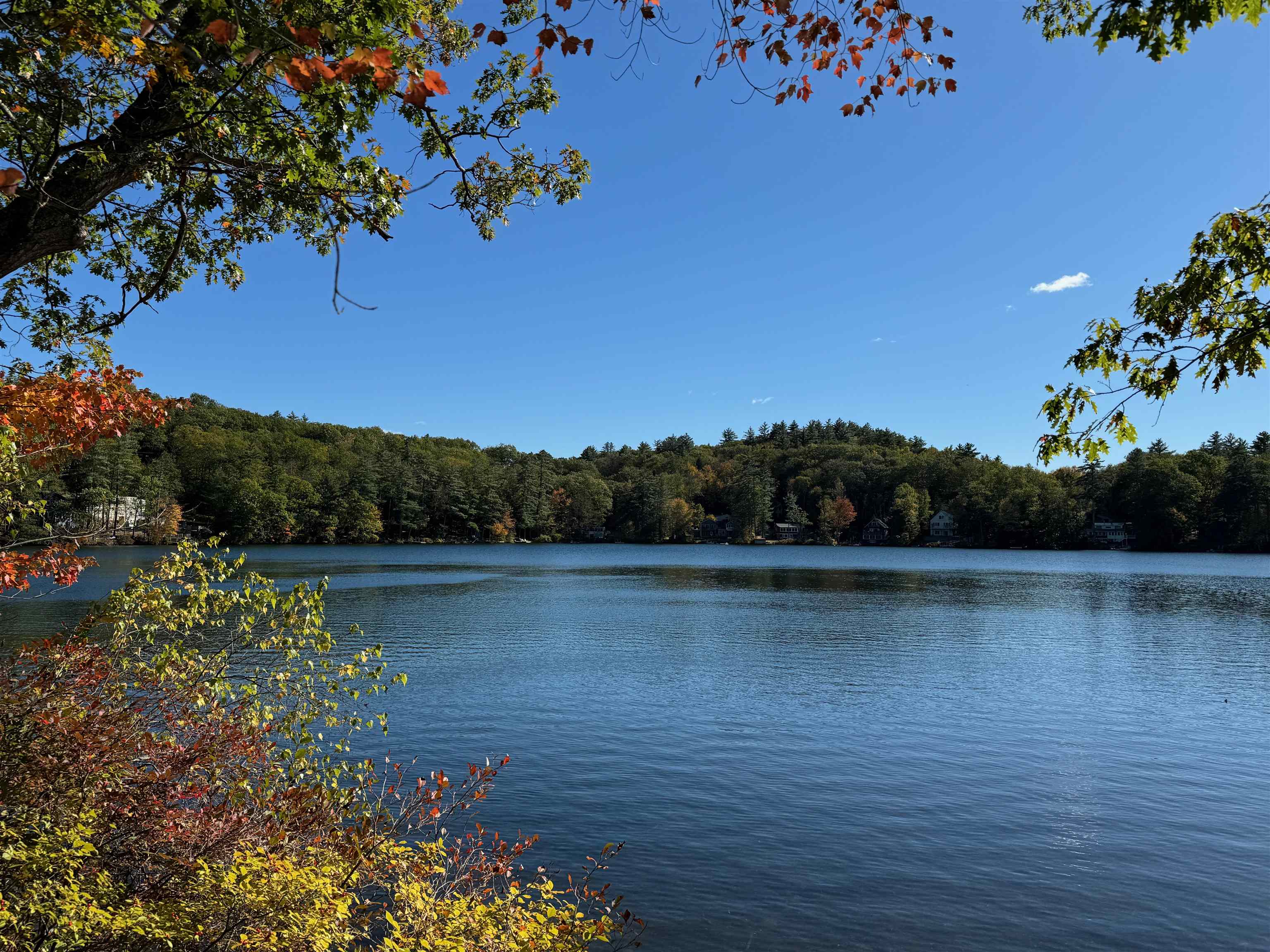 MLS #5056679 image #17