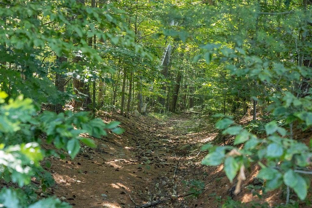 George Rd, Hopkinton, NH 03229