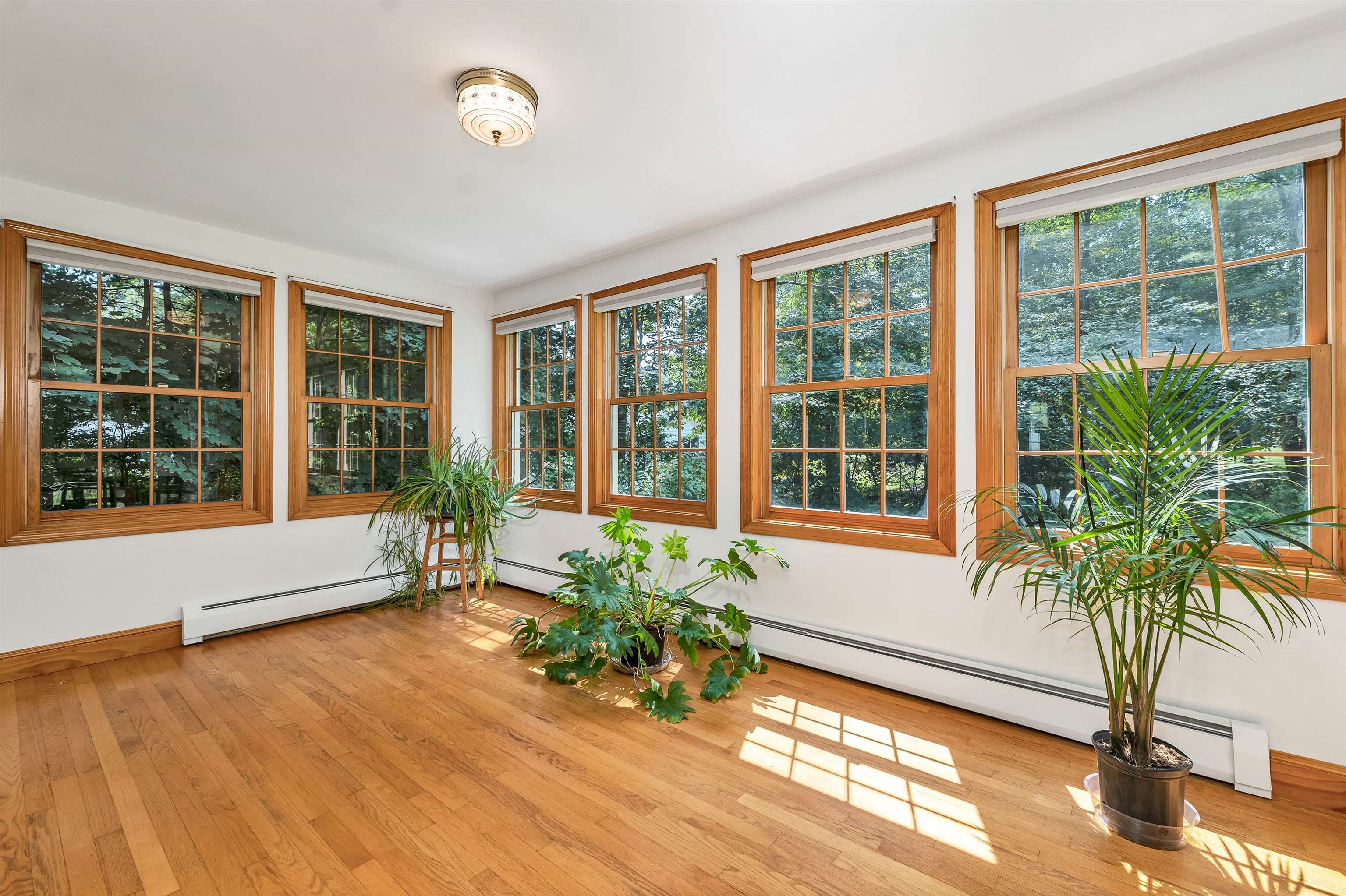 MLS #5056761 image #25