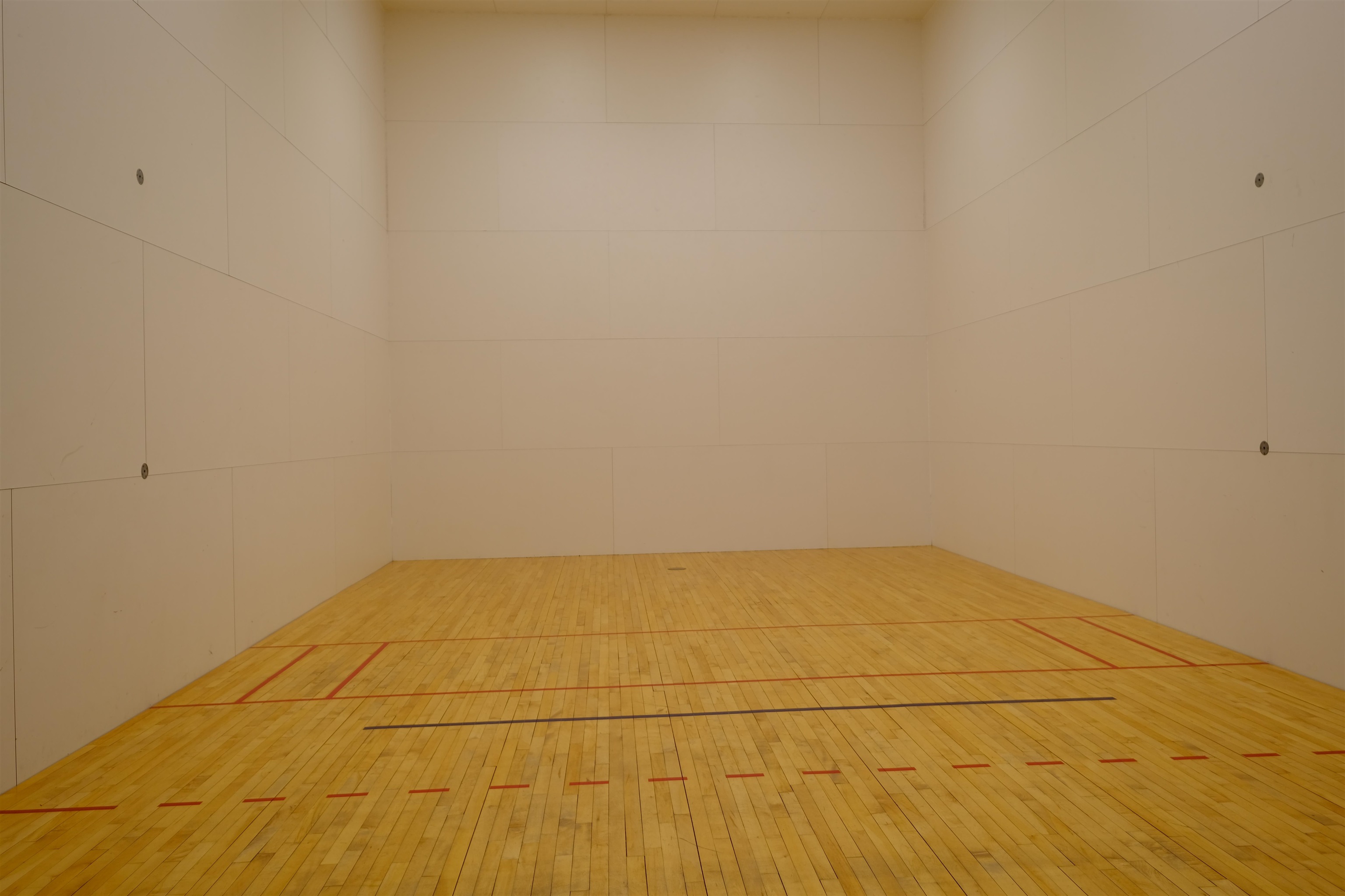 Racquet ball / pickle ball 23876601