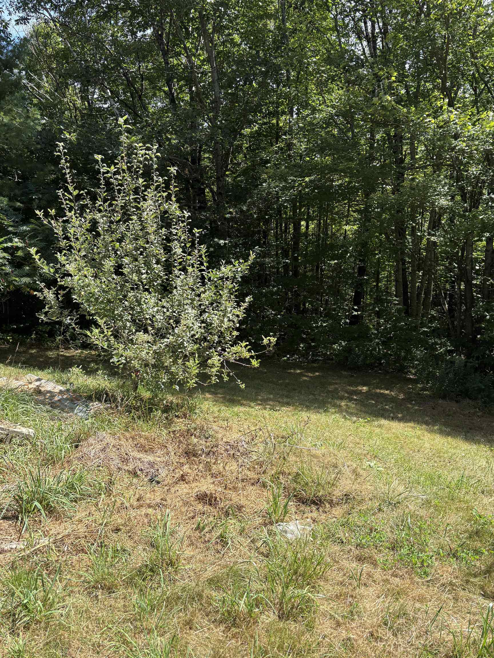 19 Easy Ave, Albany, NH 03818