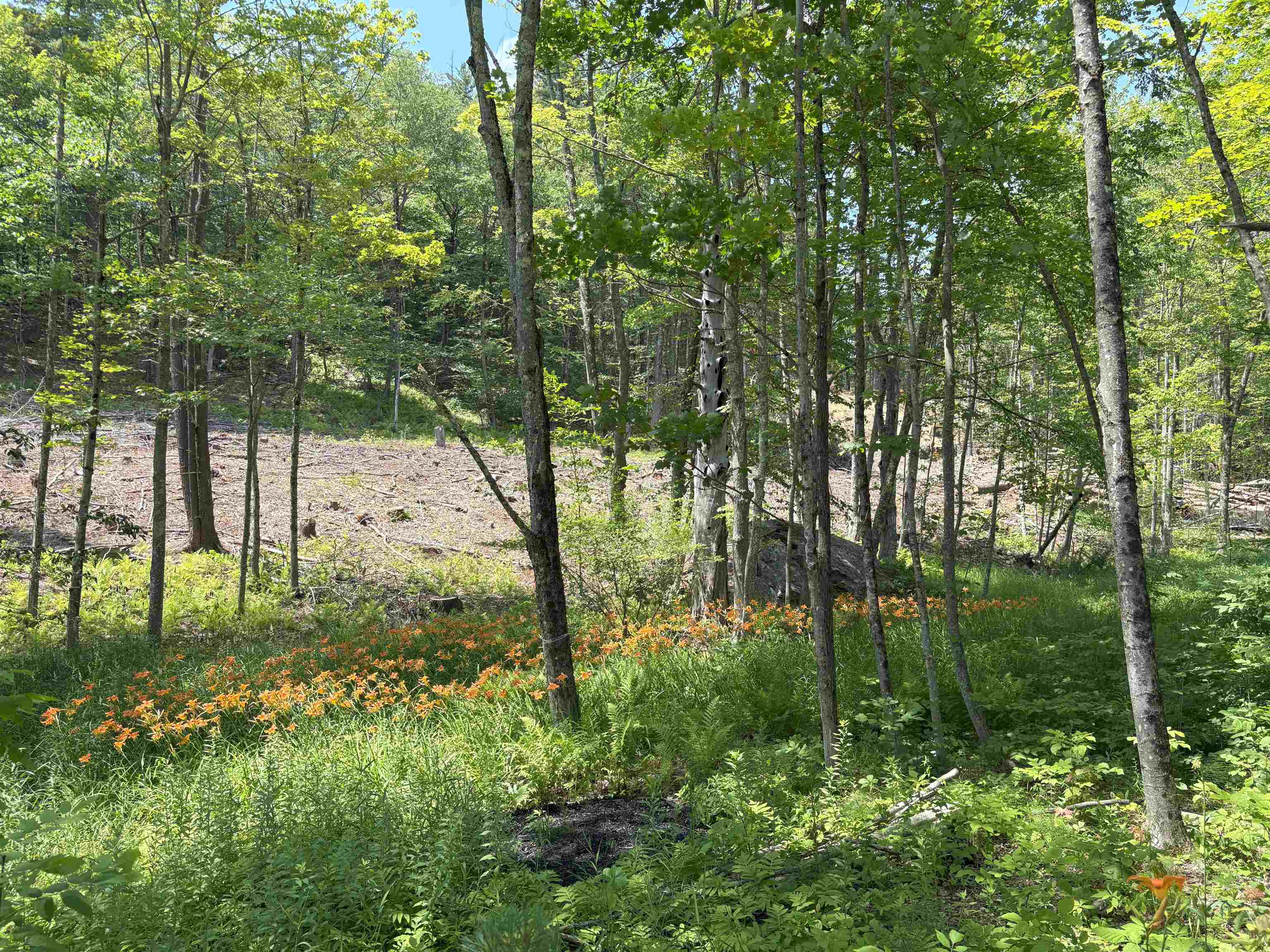 Gilmanton NH Land for sale $$125,000 | 2 Acres  | Price Per Acre $0  | Total Lots 3