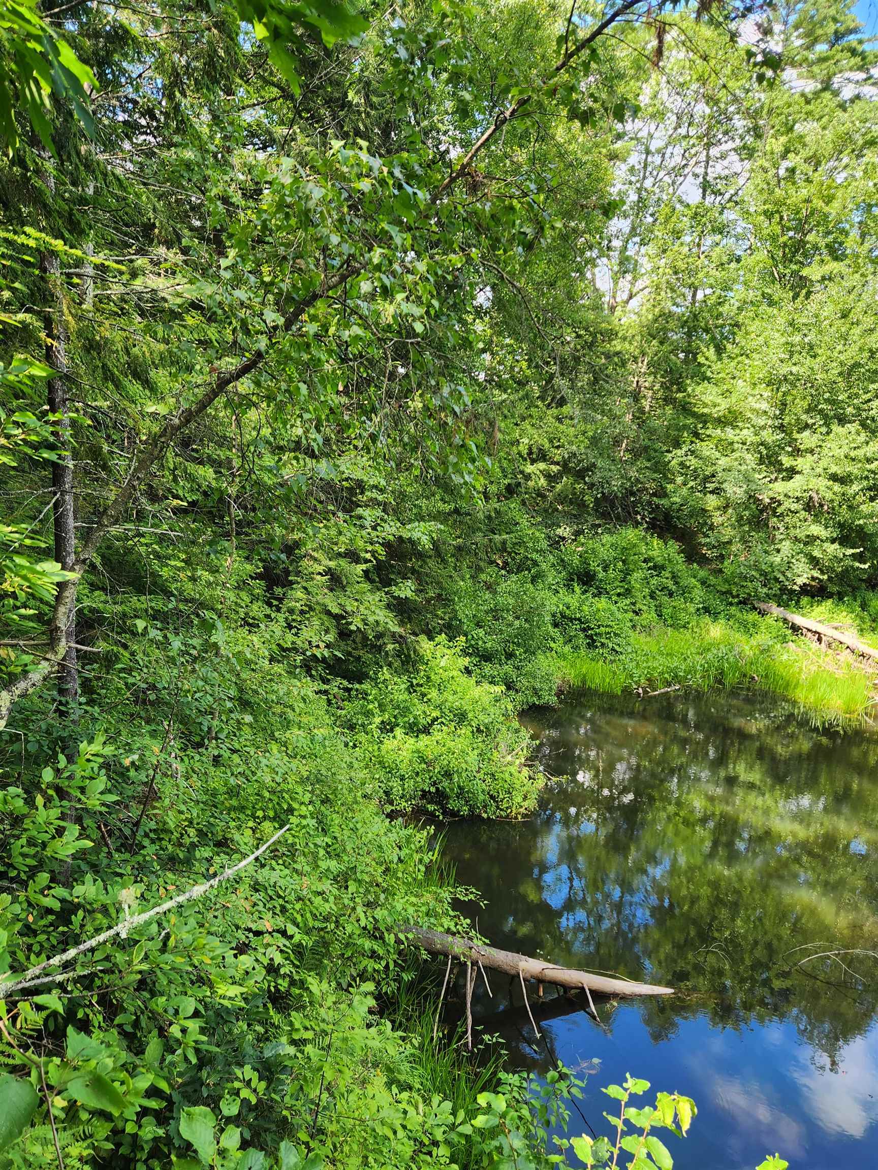 MLS #5056925 image #10