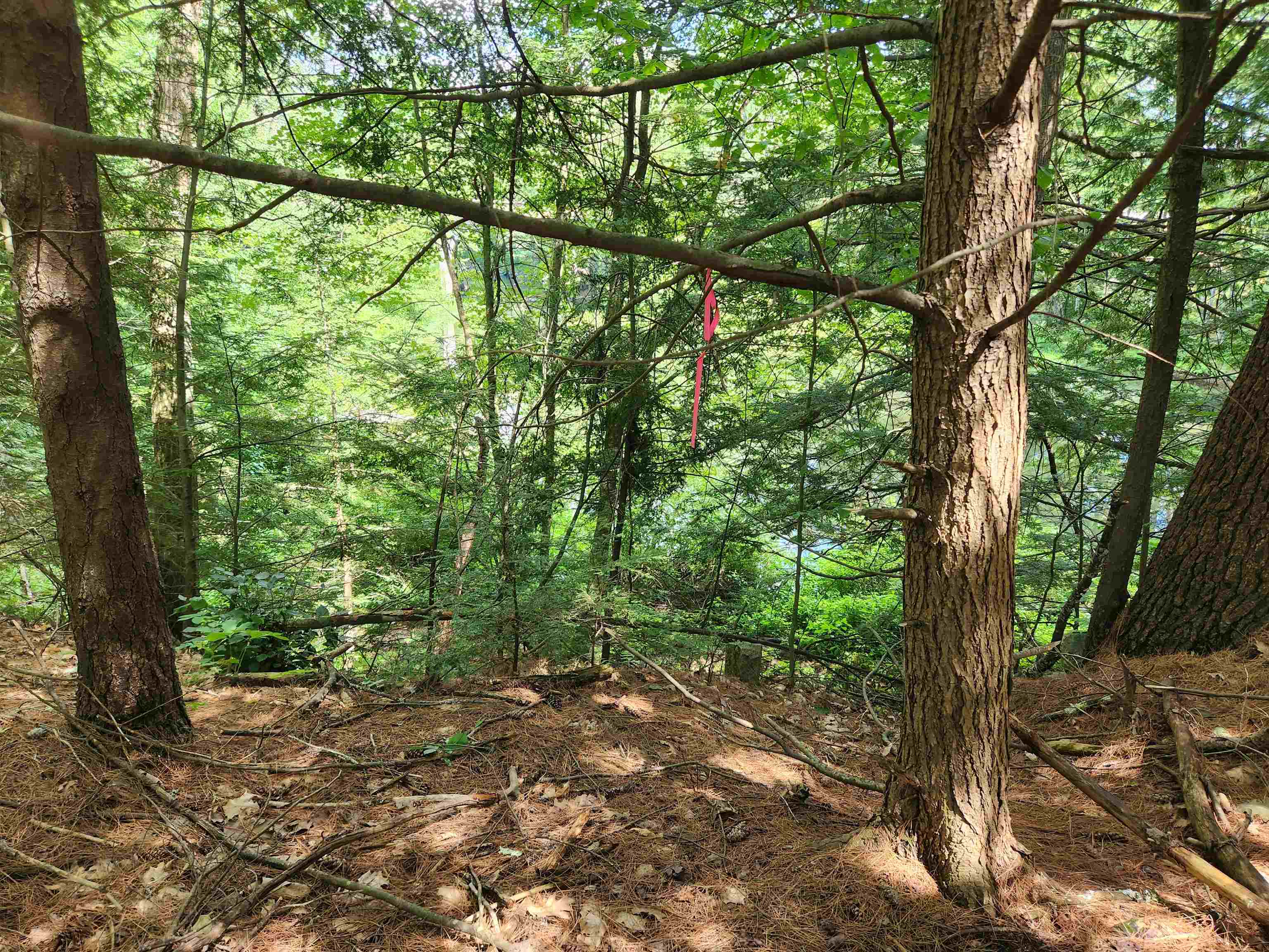 MLS #5056925 image #12