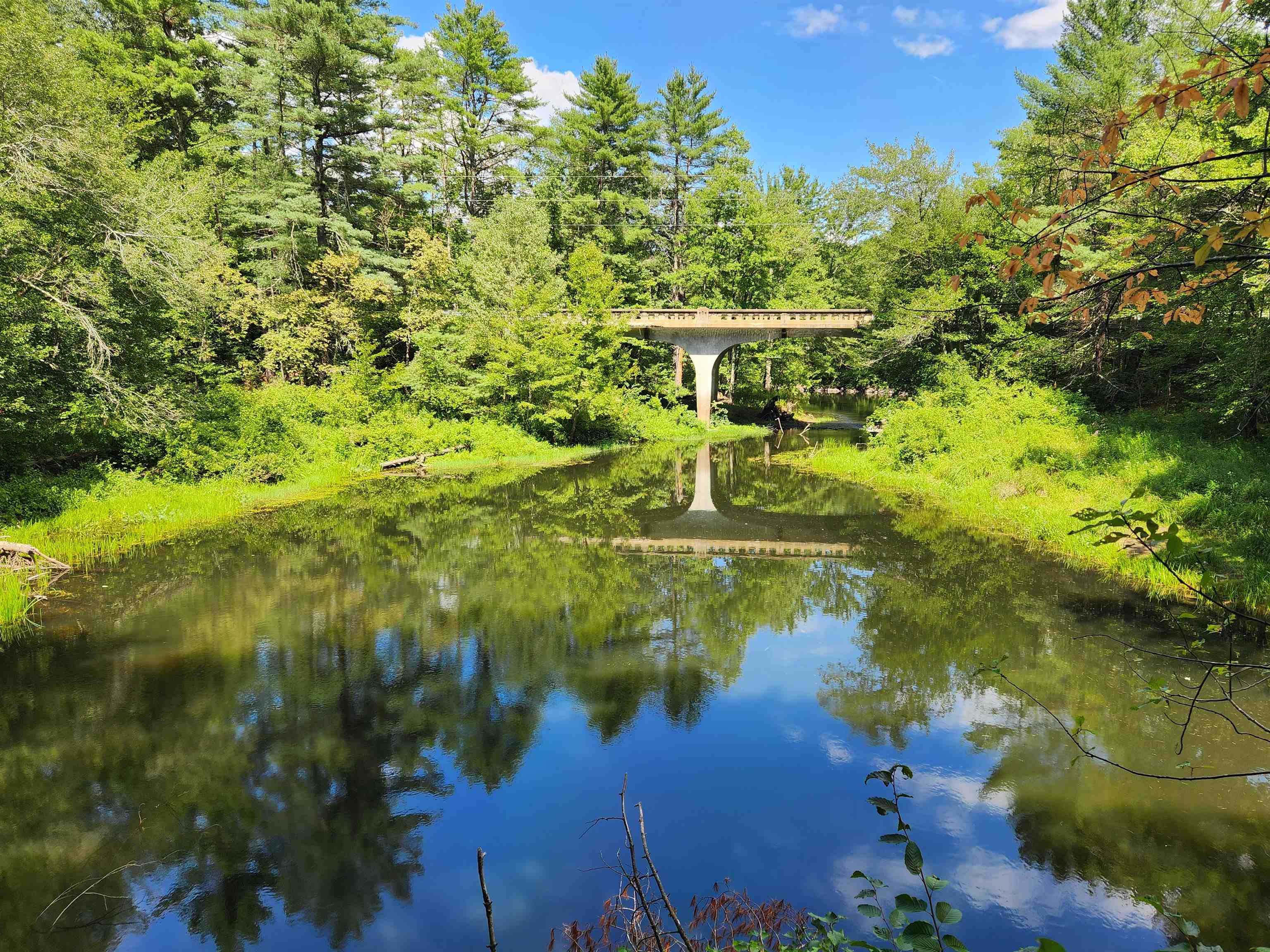 MLS #5056925 image #4