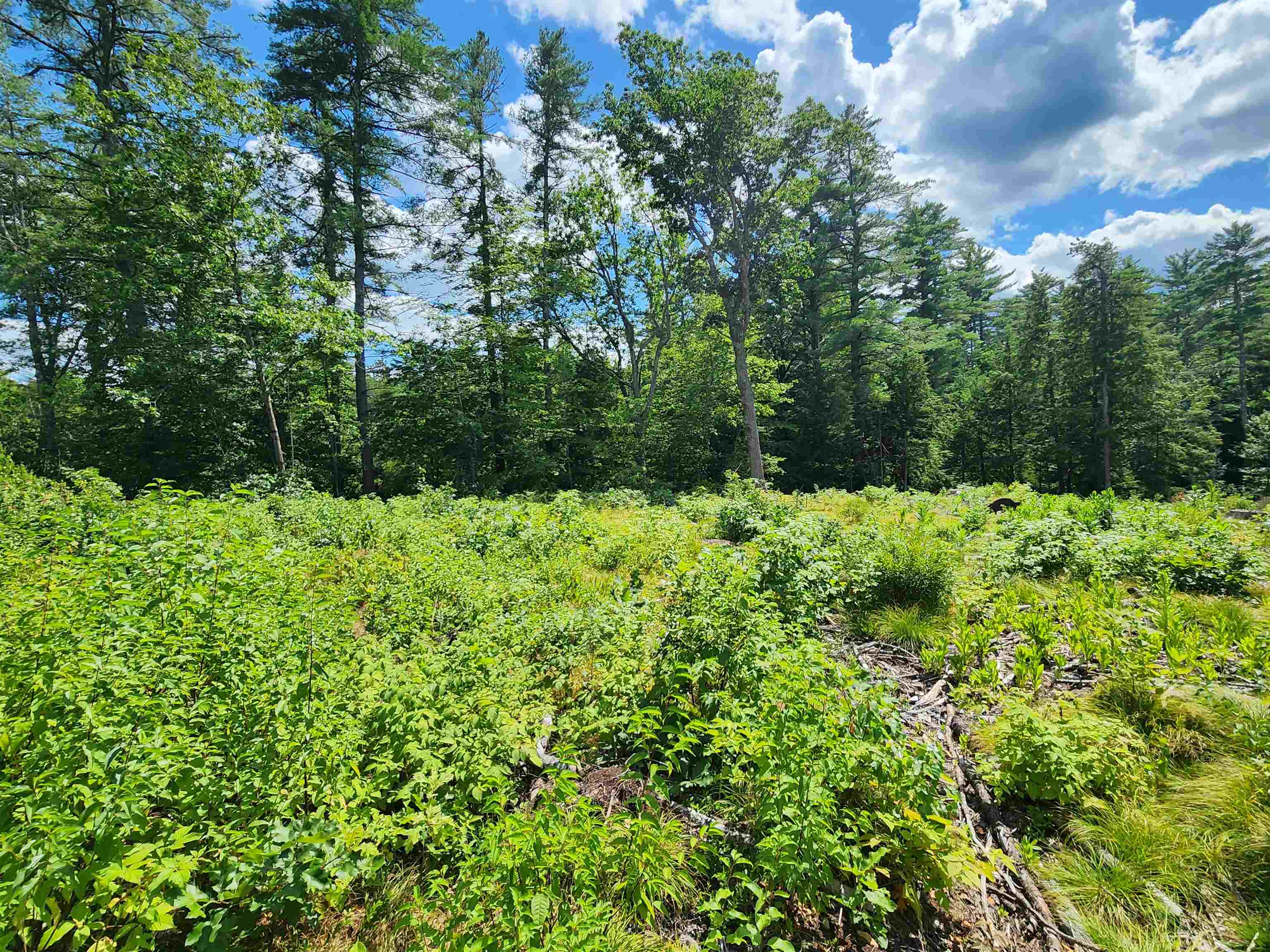 MLS #5056925 image #5