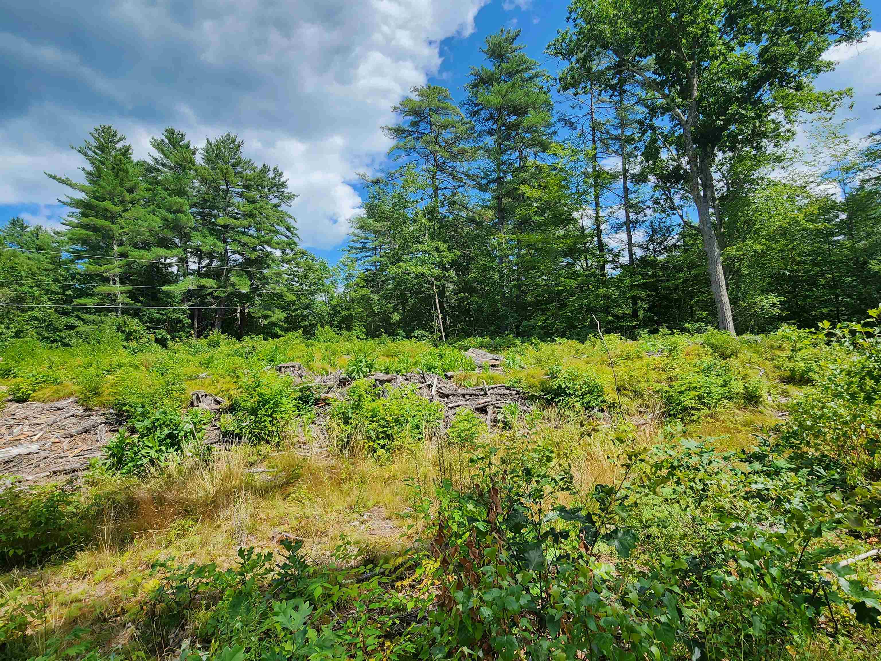 MLS #5056925 image #6