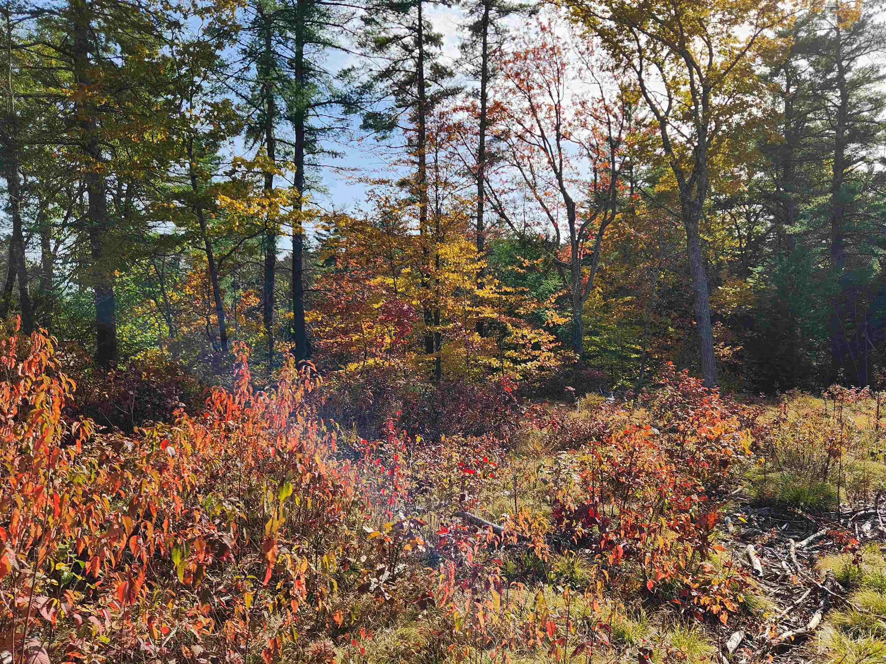 MLS #5056925 image #8