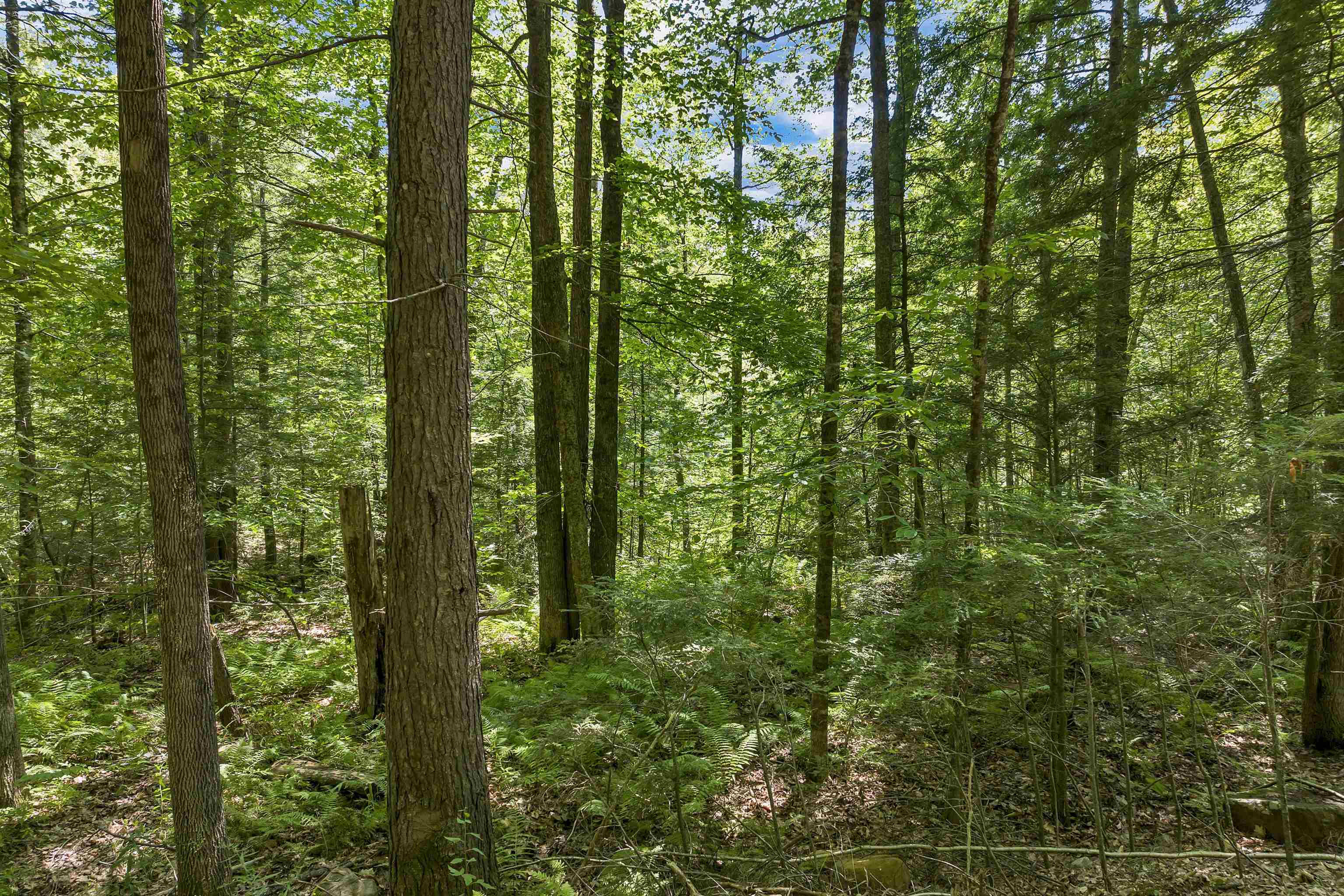 MLS #5056990 image #10