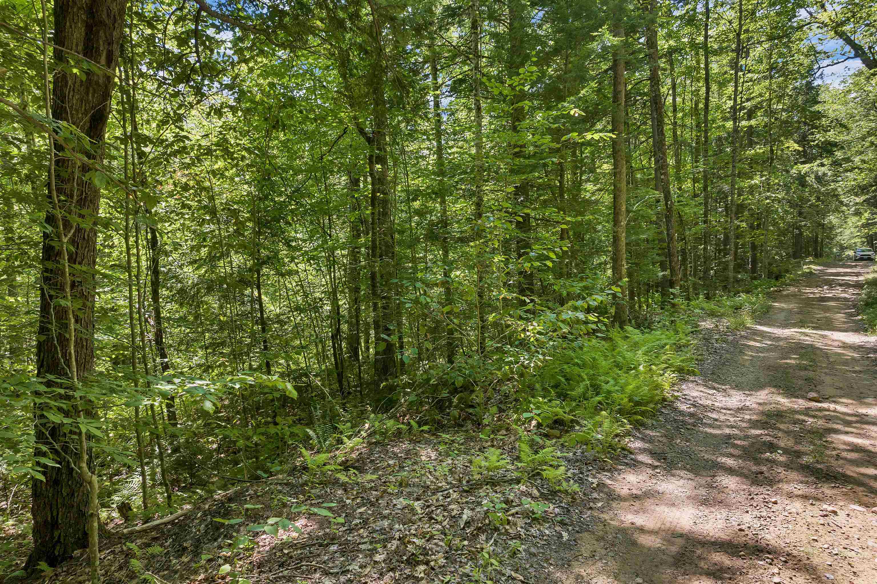 MLS #5056990 image #12