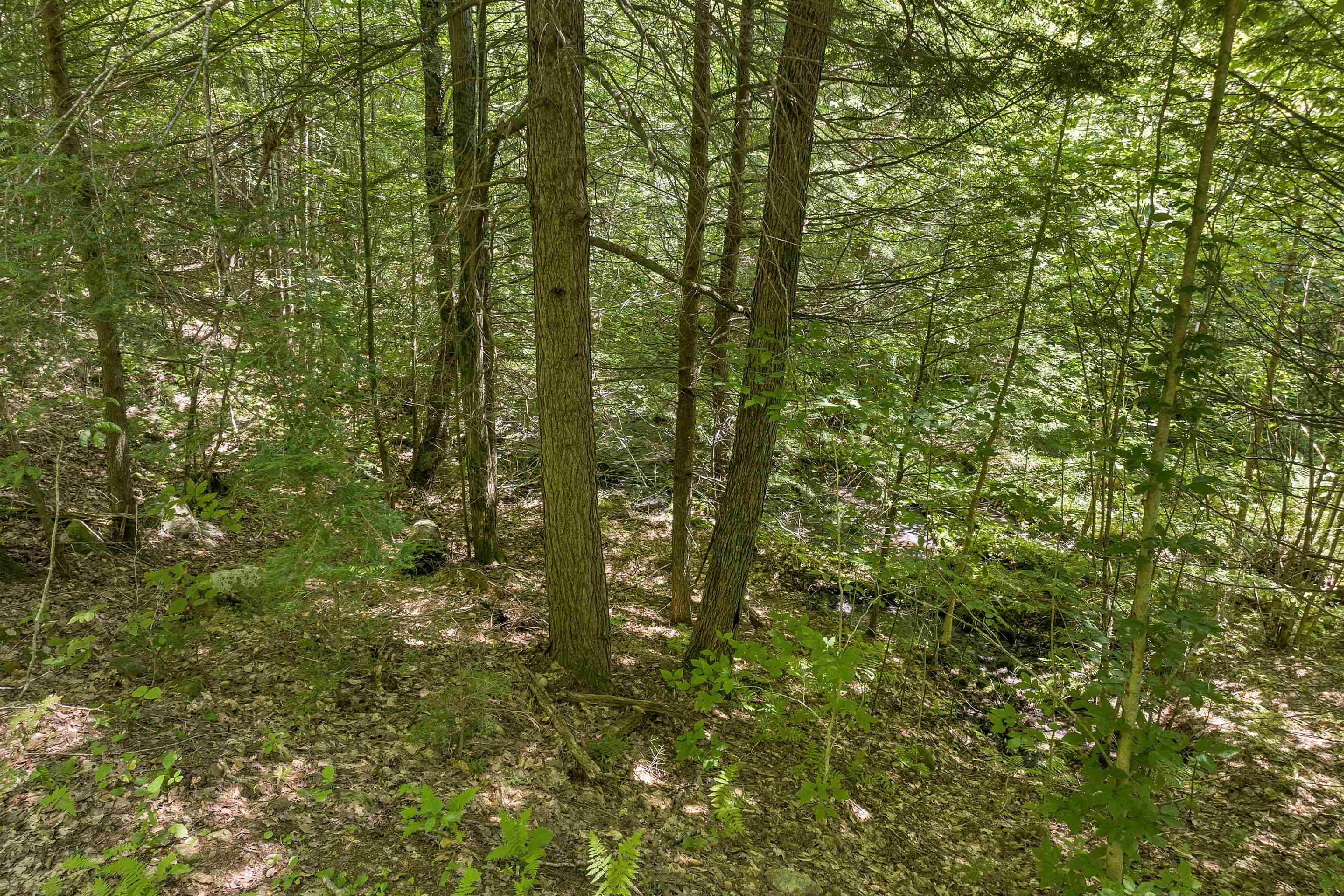 MLS #5056990 image #13