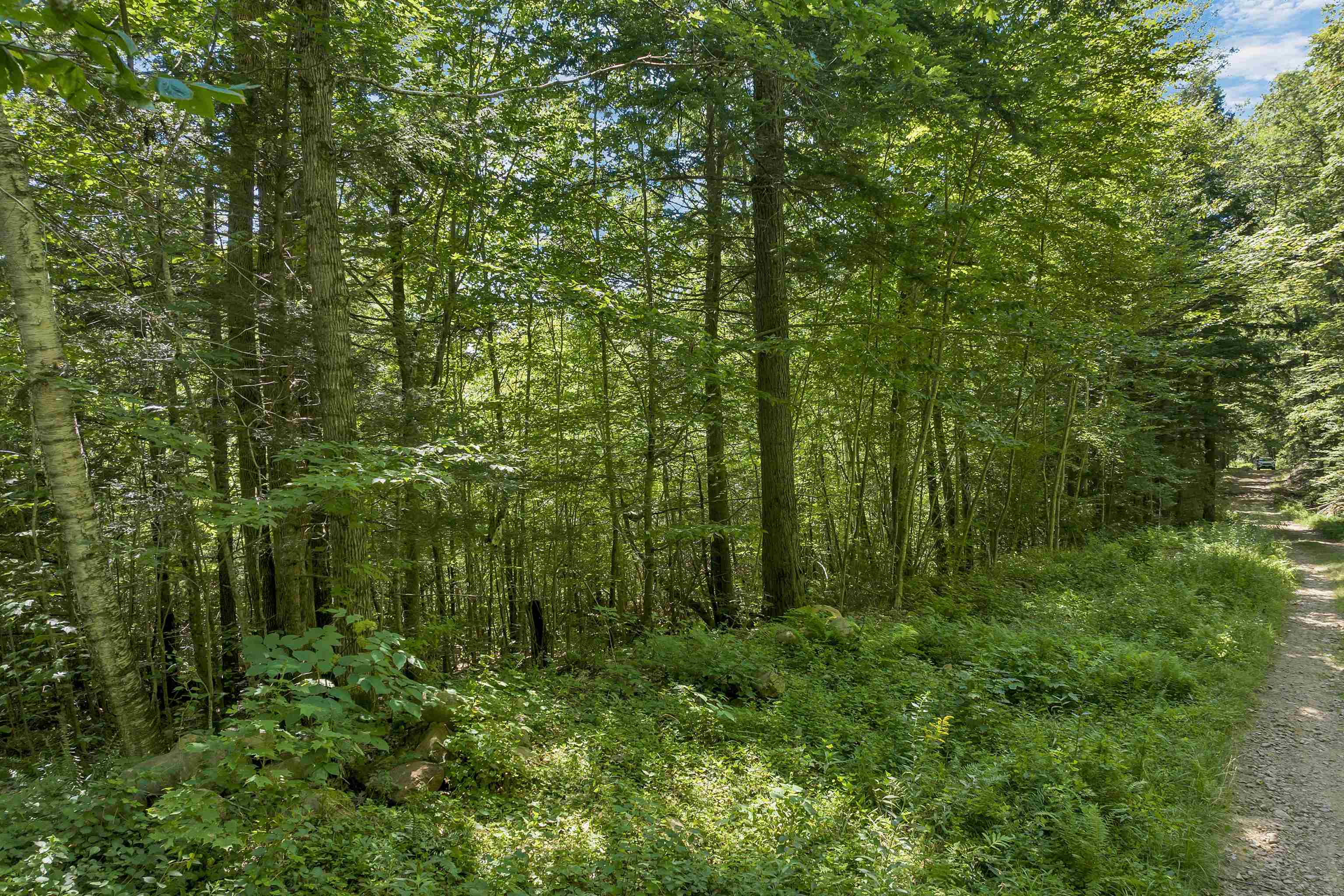 MLS #5056990 image #15