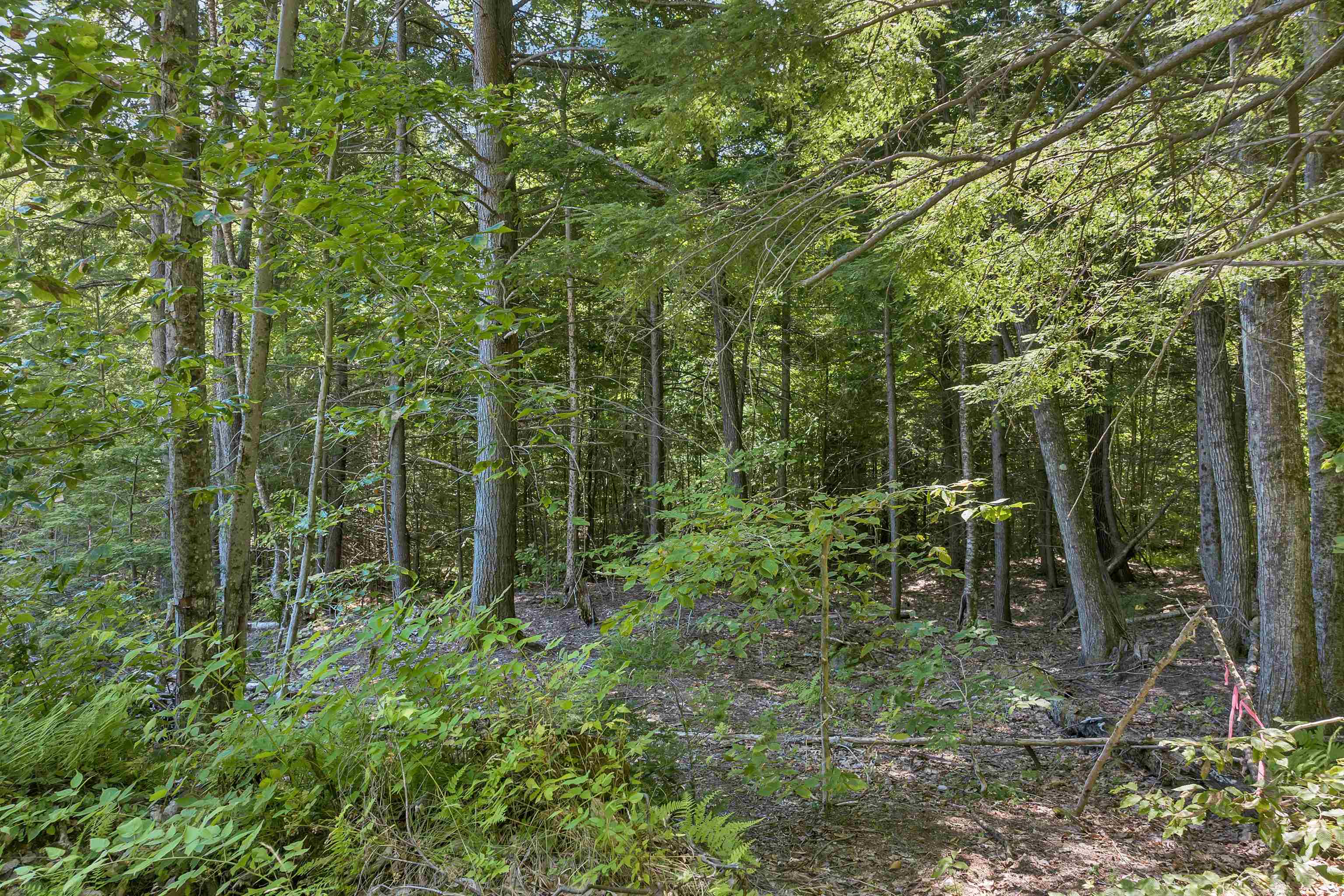 MLS #5056990 image #17