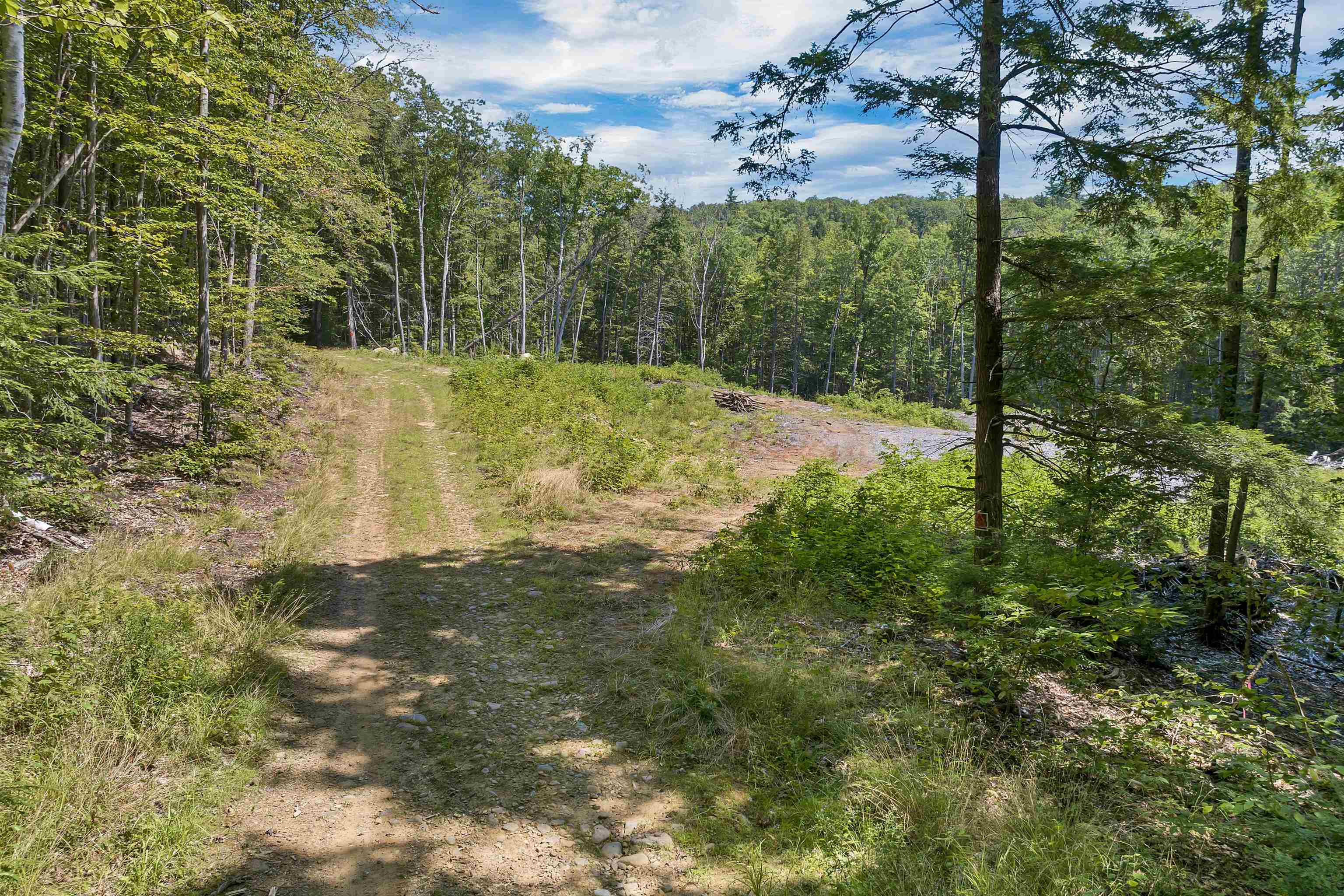 MLS #5056990 image #2