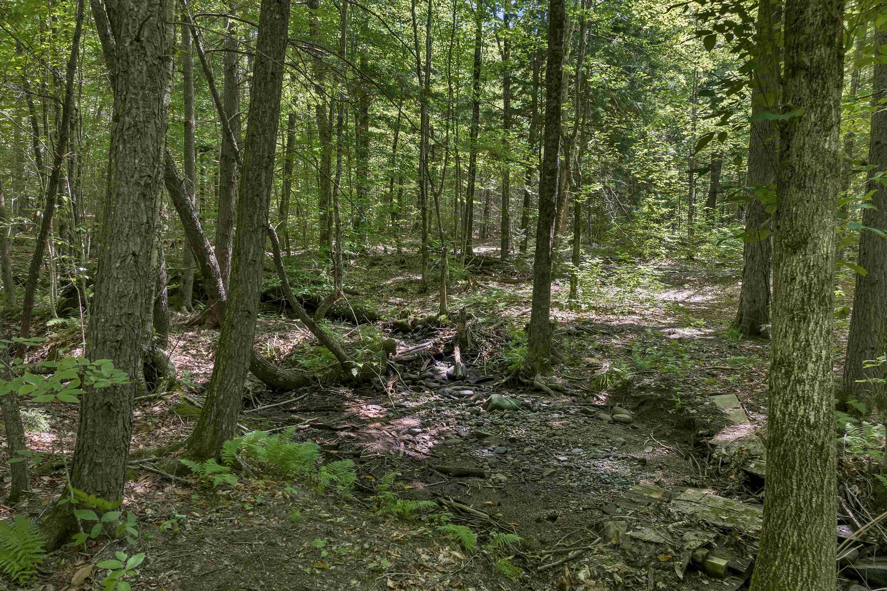 MLS #5056990 image #20