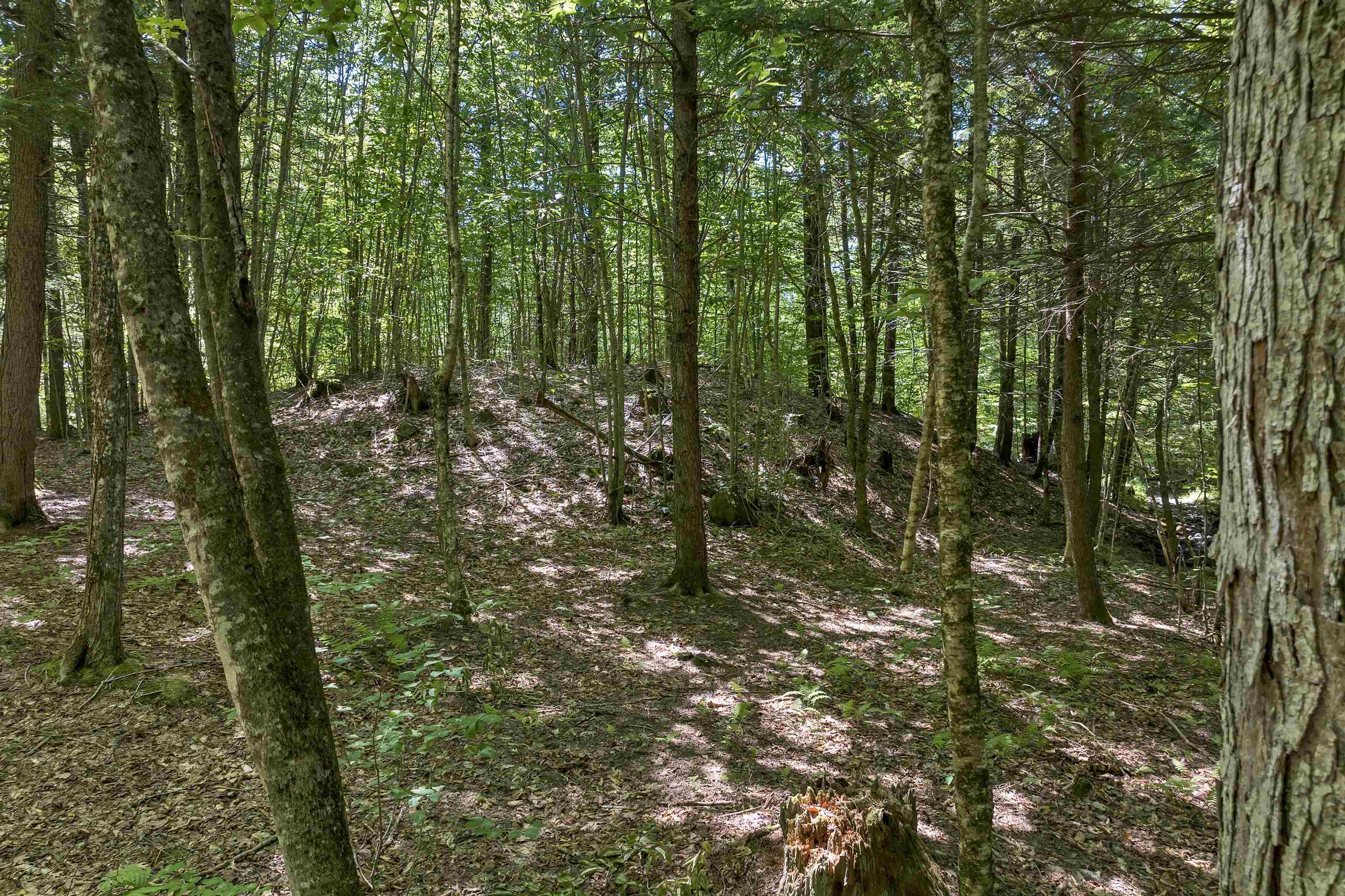 MLS #5056990 image #21