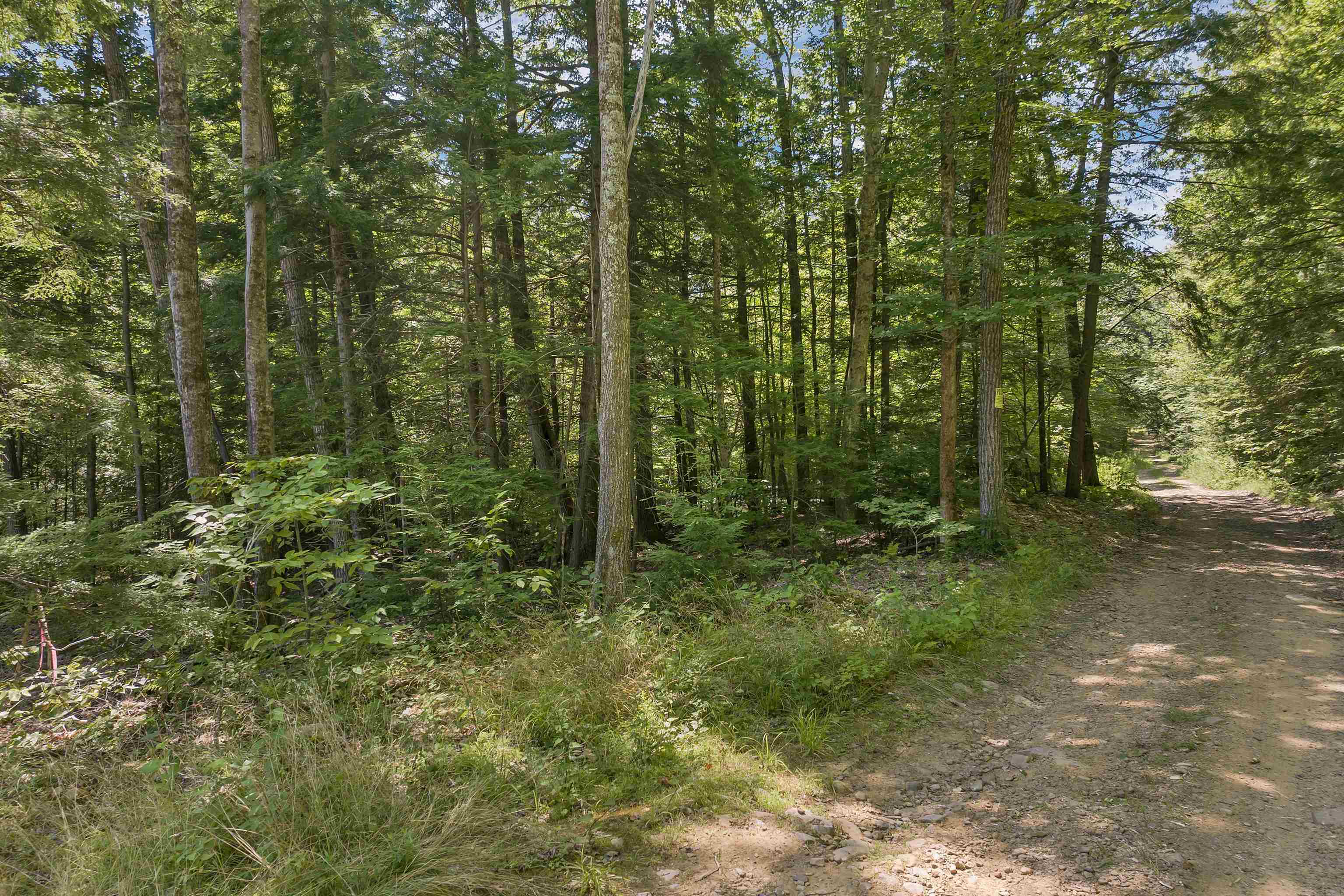 MLS #5056990 image #3