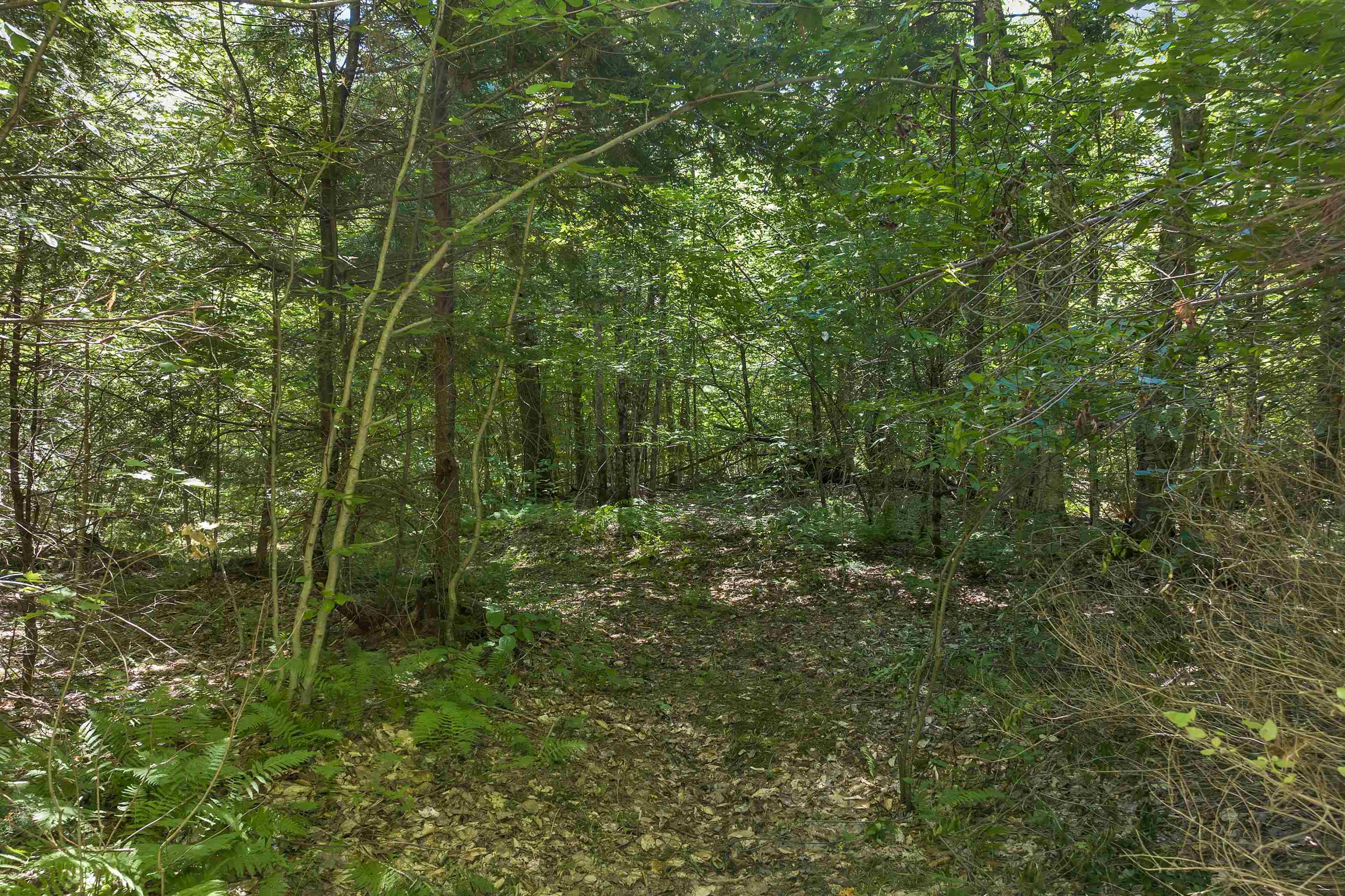 MLS #5056990 image #7