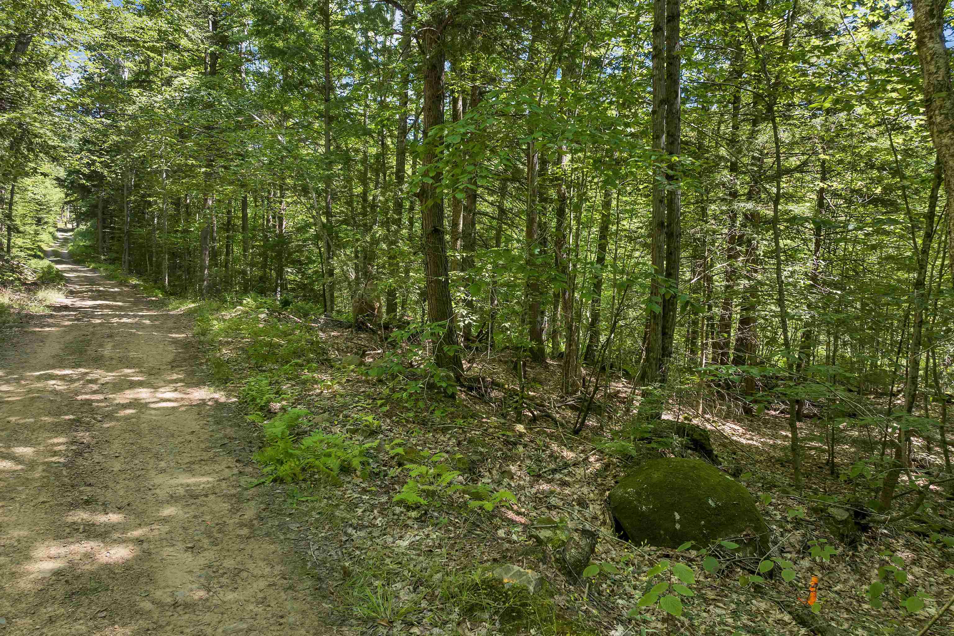 MLS #5056990 image #9