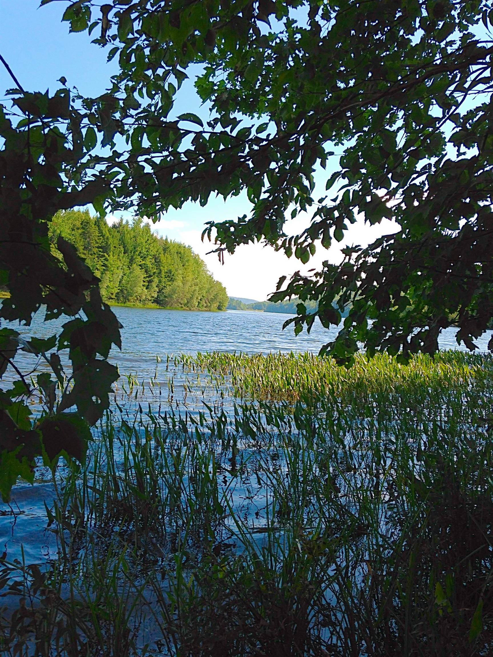 50 Longwood Dr, Grantham, NH 03753