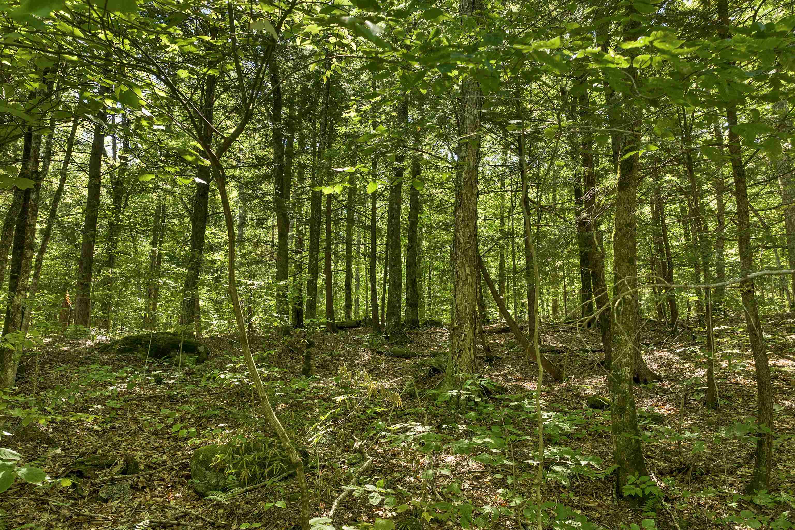 MLS #5057116 image #1