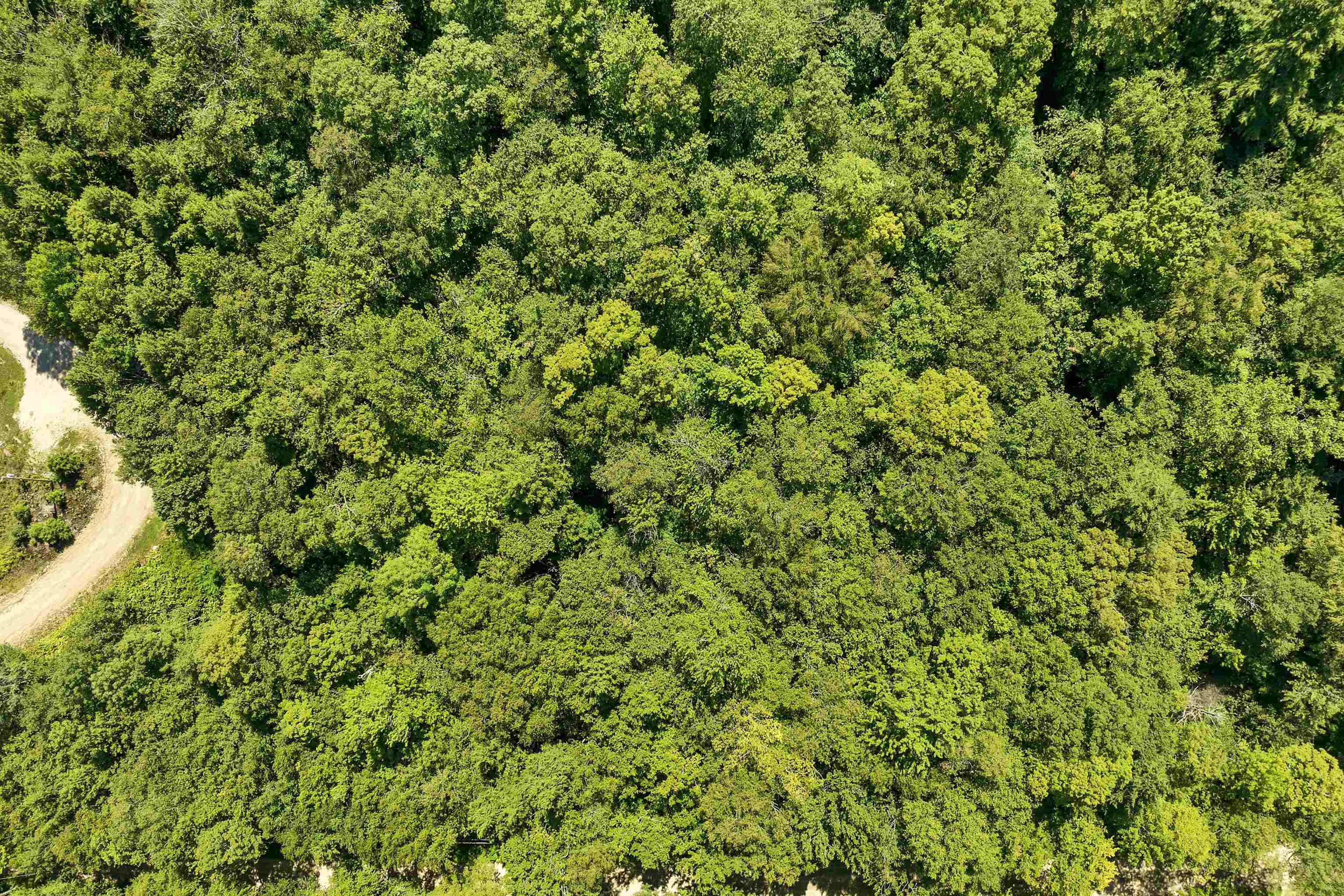 MLS #5057116 image #10