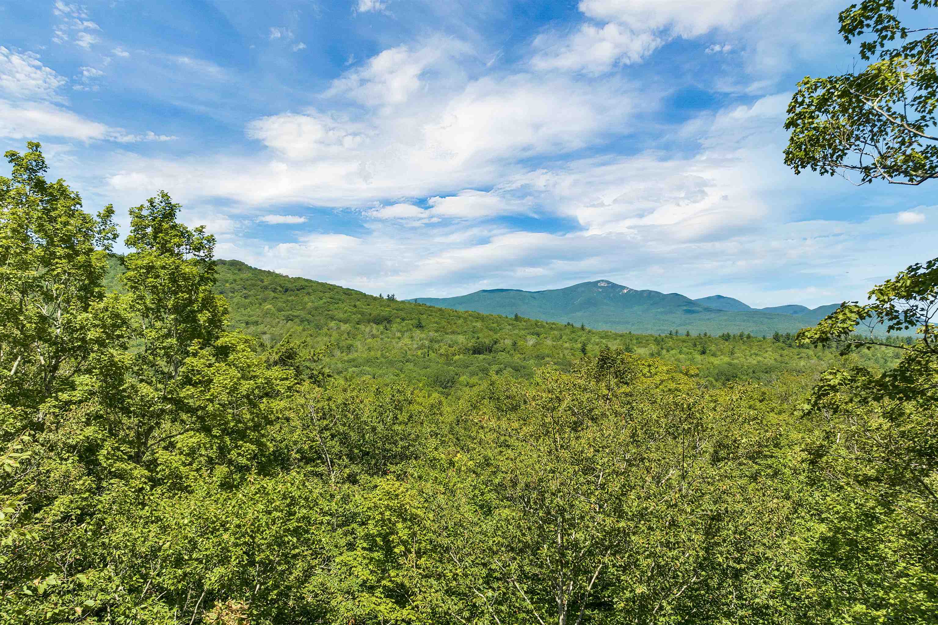 MLS #5057116 image #13