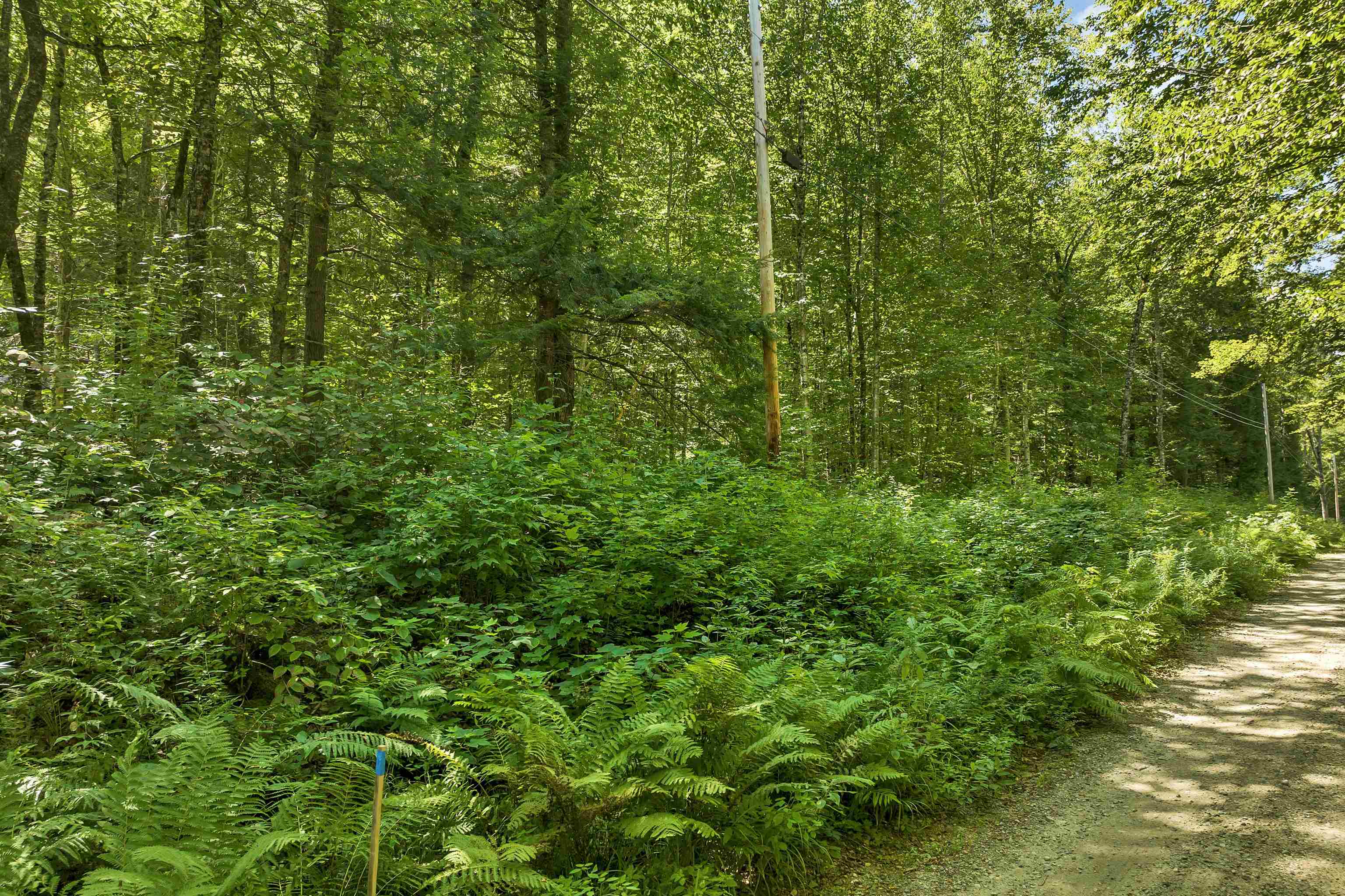 MLS #5057116 image #19