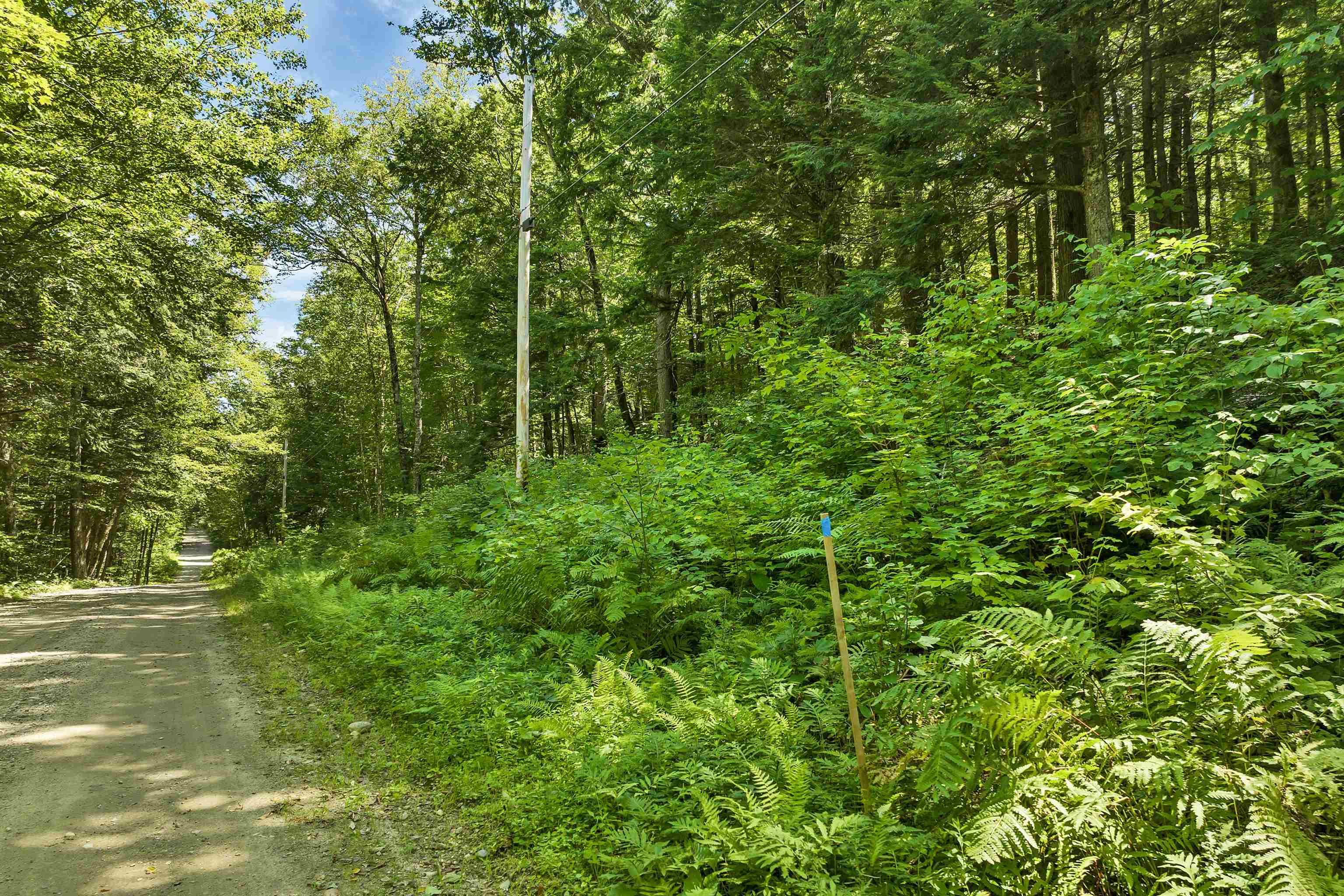 MLS #5057116 image #2