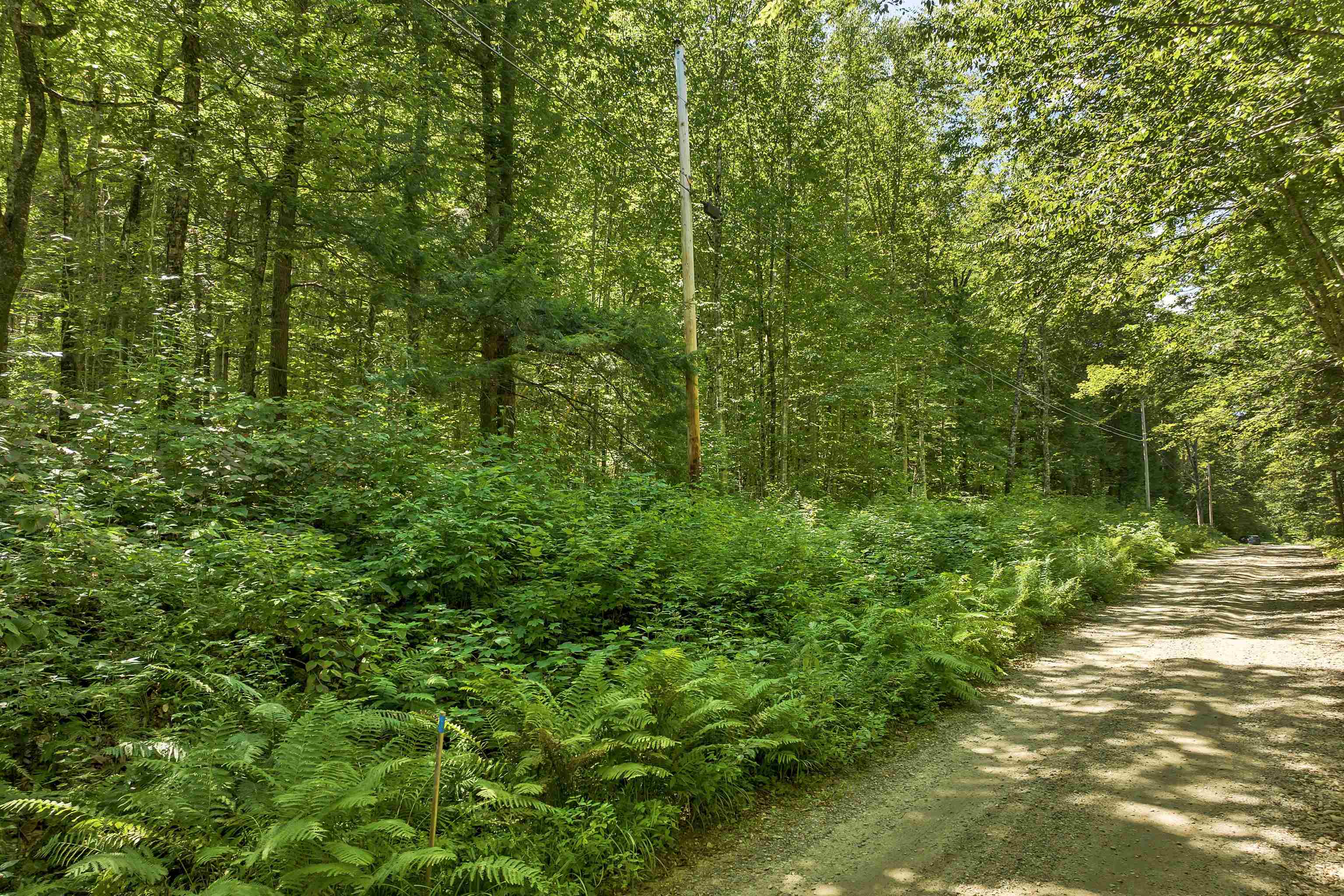 MLS #5057116 image #3