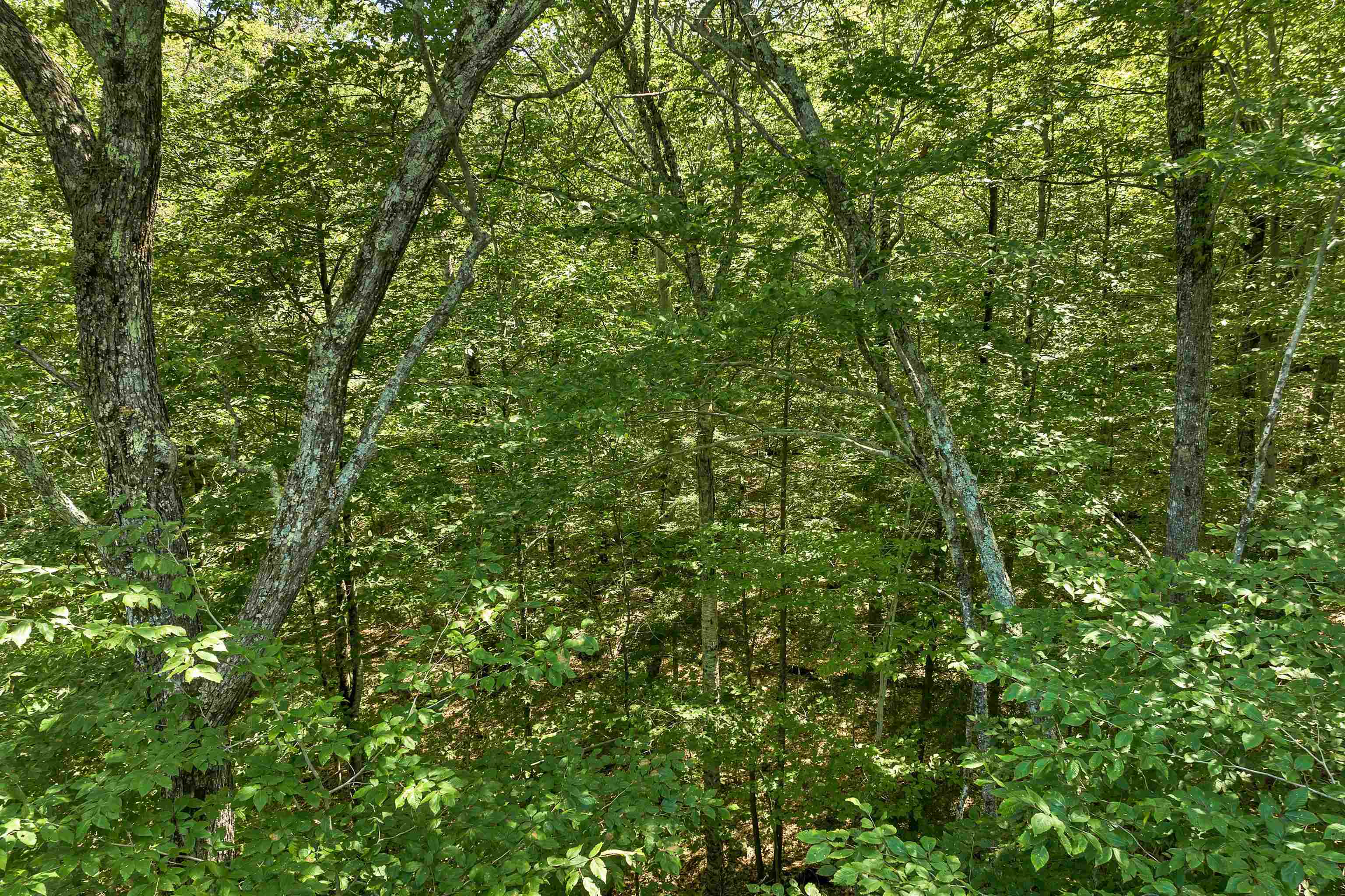 MLS #5057116 image #5