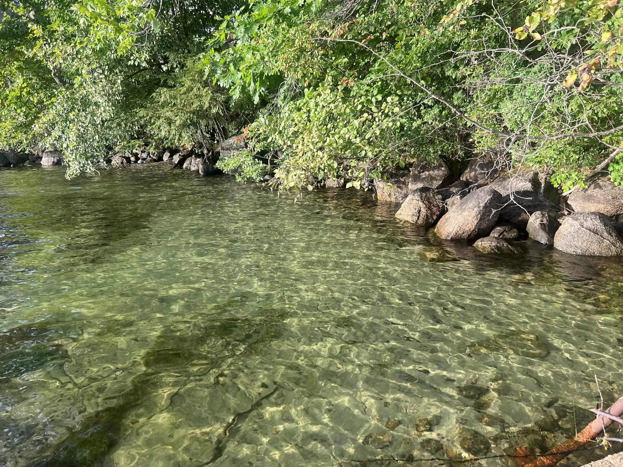 MLS #5057138 image #5