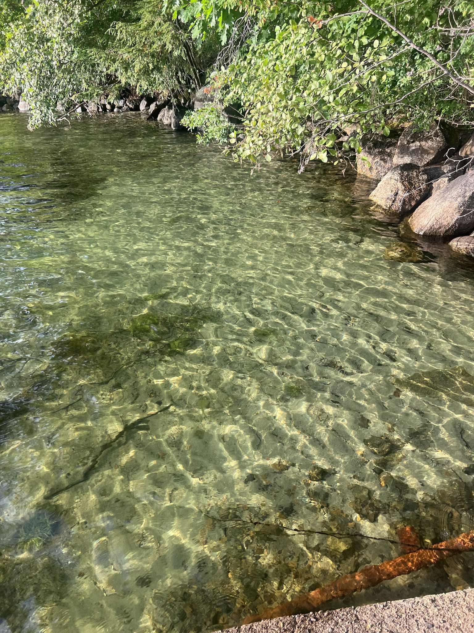 MLS #5057138 image #6