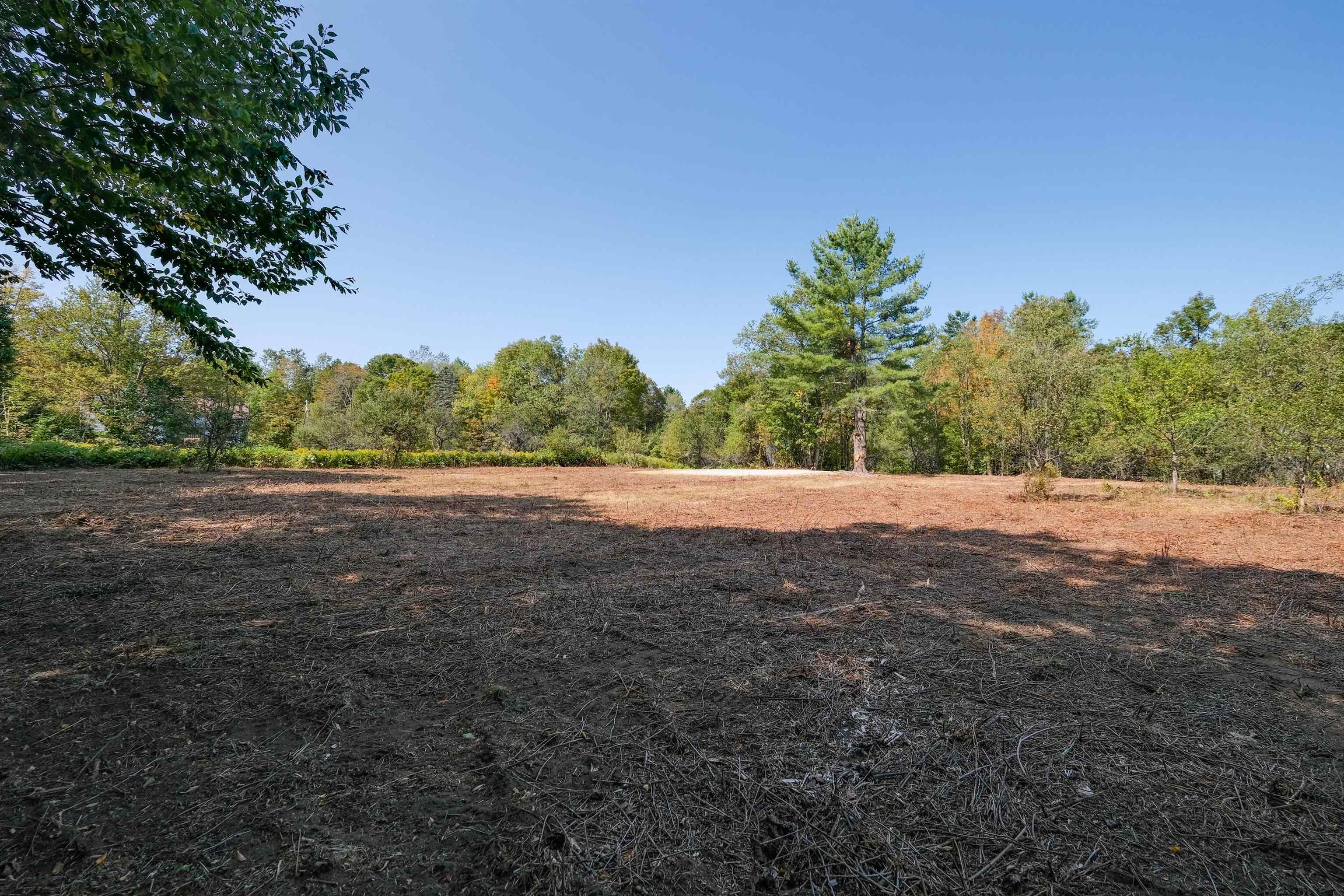 Homes for sale in Mount Holly, VT | 00 Station Rd, Mount Holly, VT 05758 | MLS# 5057198