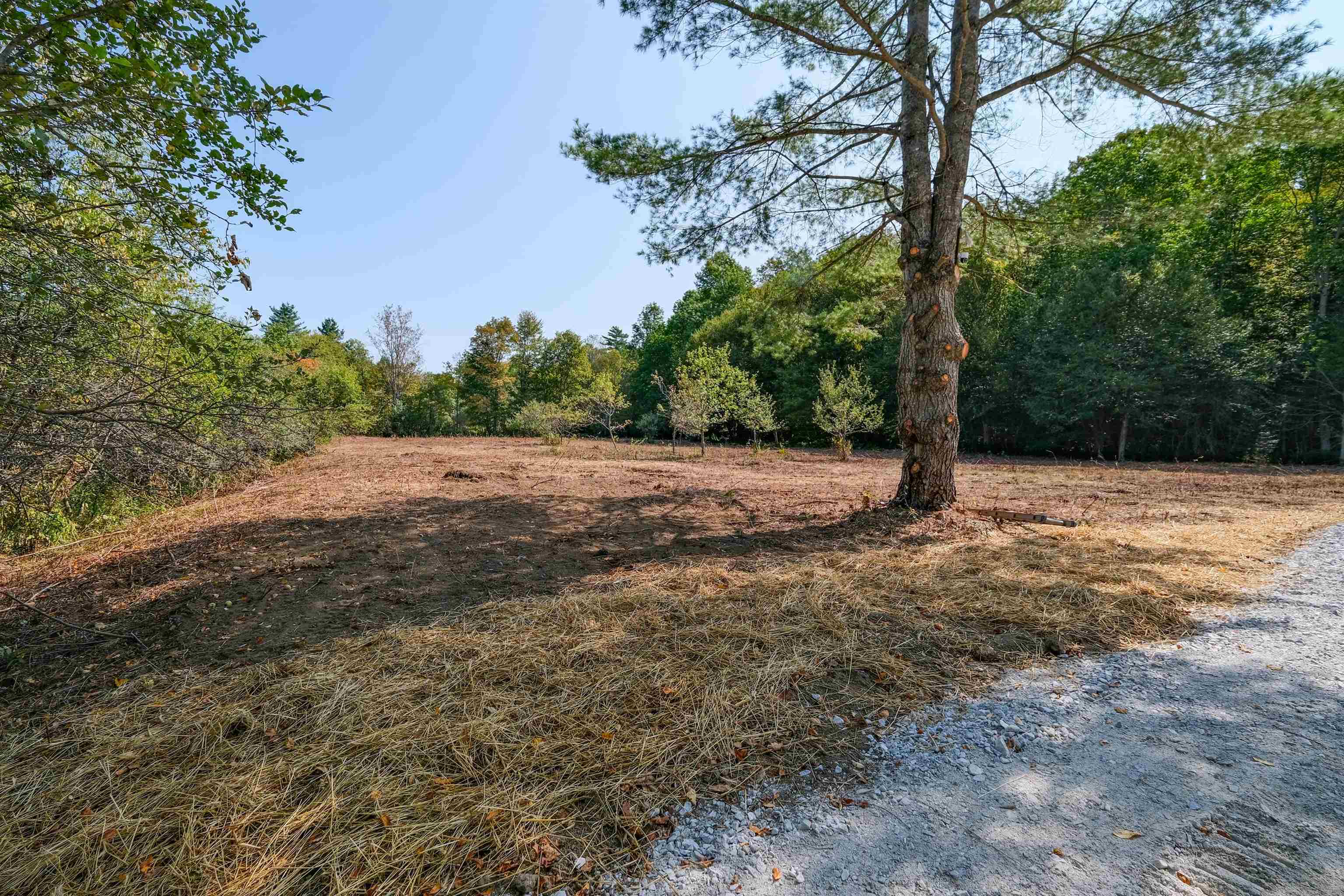 Homes for sale in Mount Holly, VT | 00 Station Rd, Mount Holly, VT 05758 | MLS# 5057198