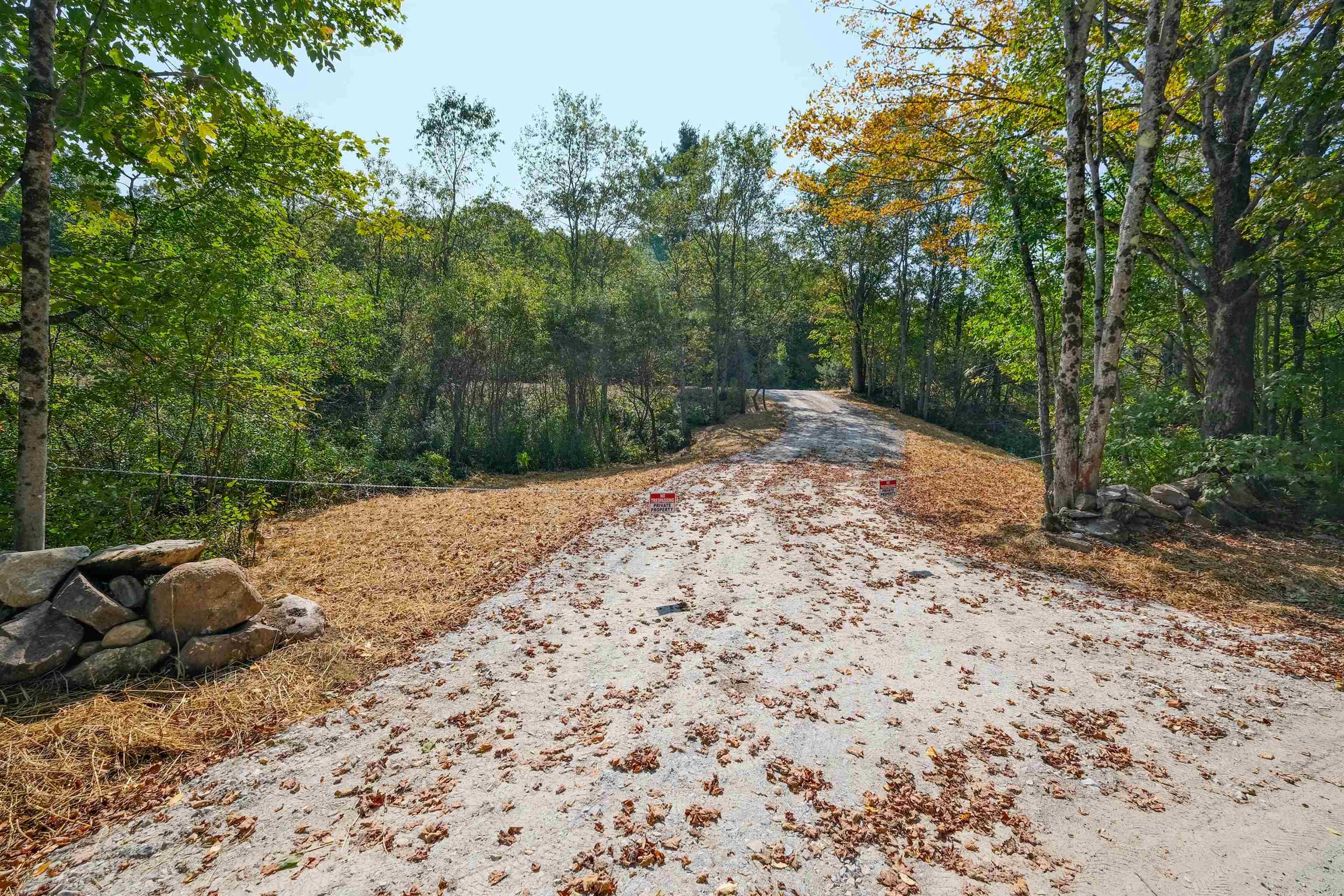 Homes for sale in Mount Holly, VT | 00 Station Rd, Mount Holly, VT 05758 | MLS# 5057198