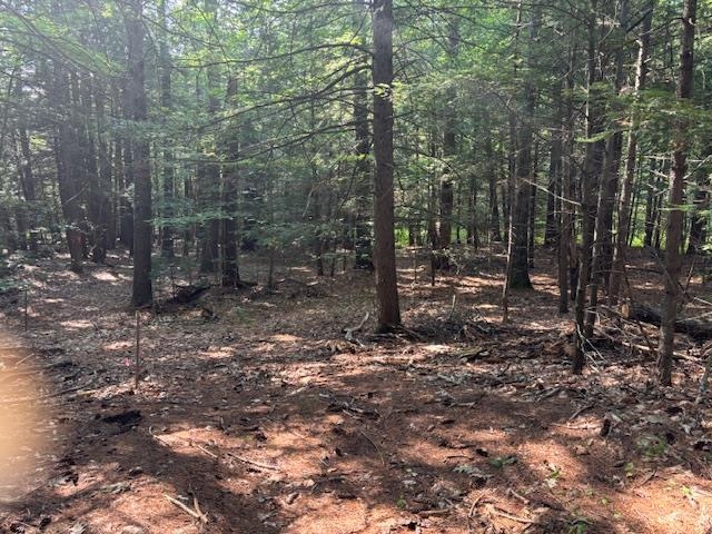 0 Marden Rd, Wilton, NH 03086