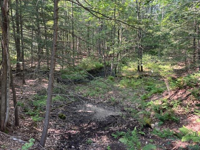 0 Marden Rd, Wilton, NH 03086