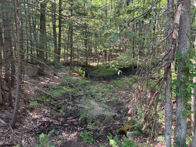 0 Marden Rd, Wilton, NH 03086