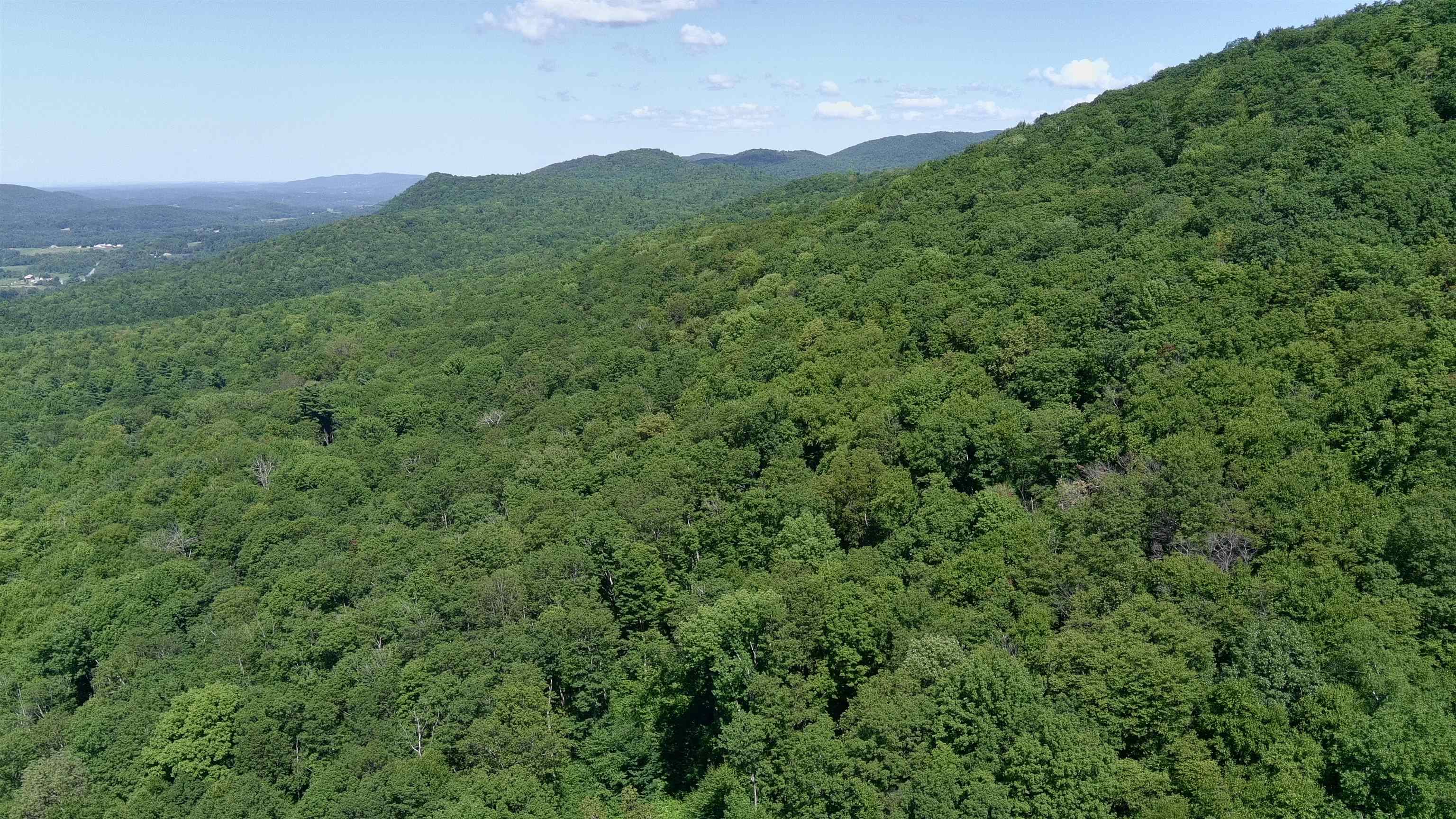 MLS #5057769 image #4