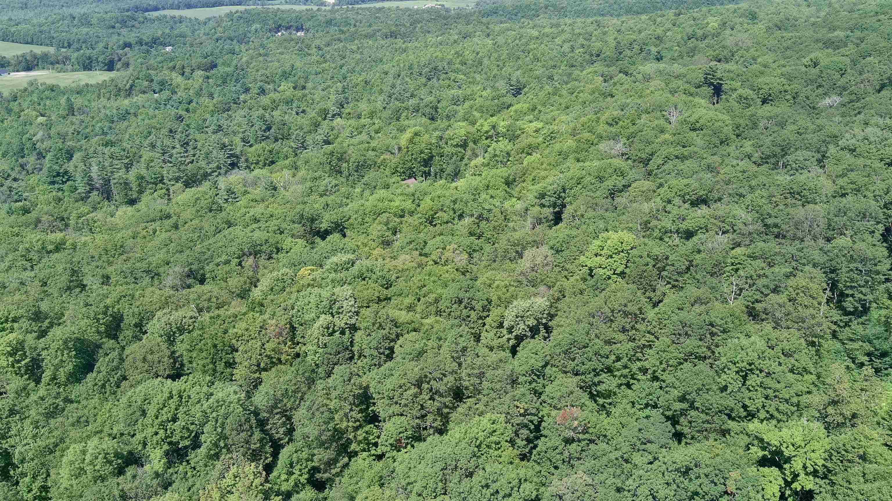 MLS #5057769 image #6