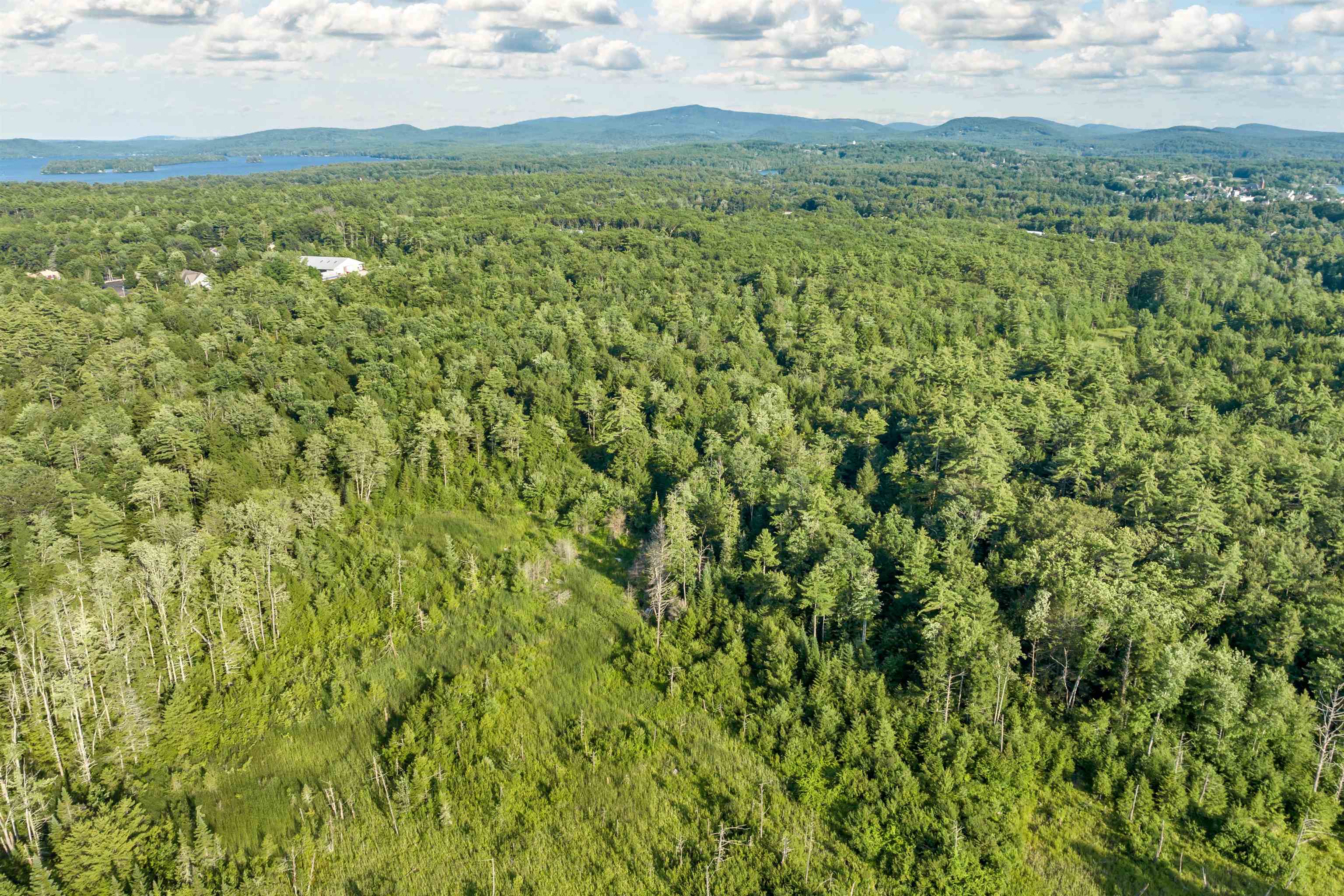 MLS #5058058 image #11