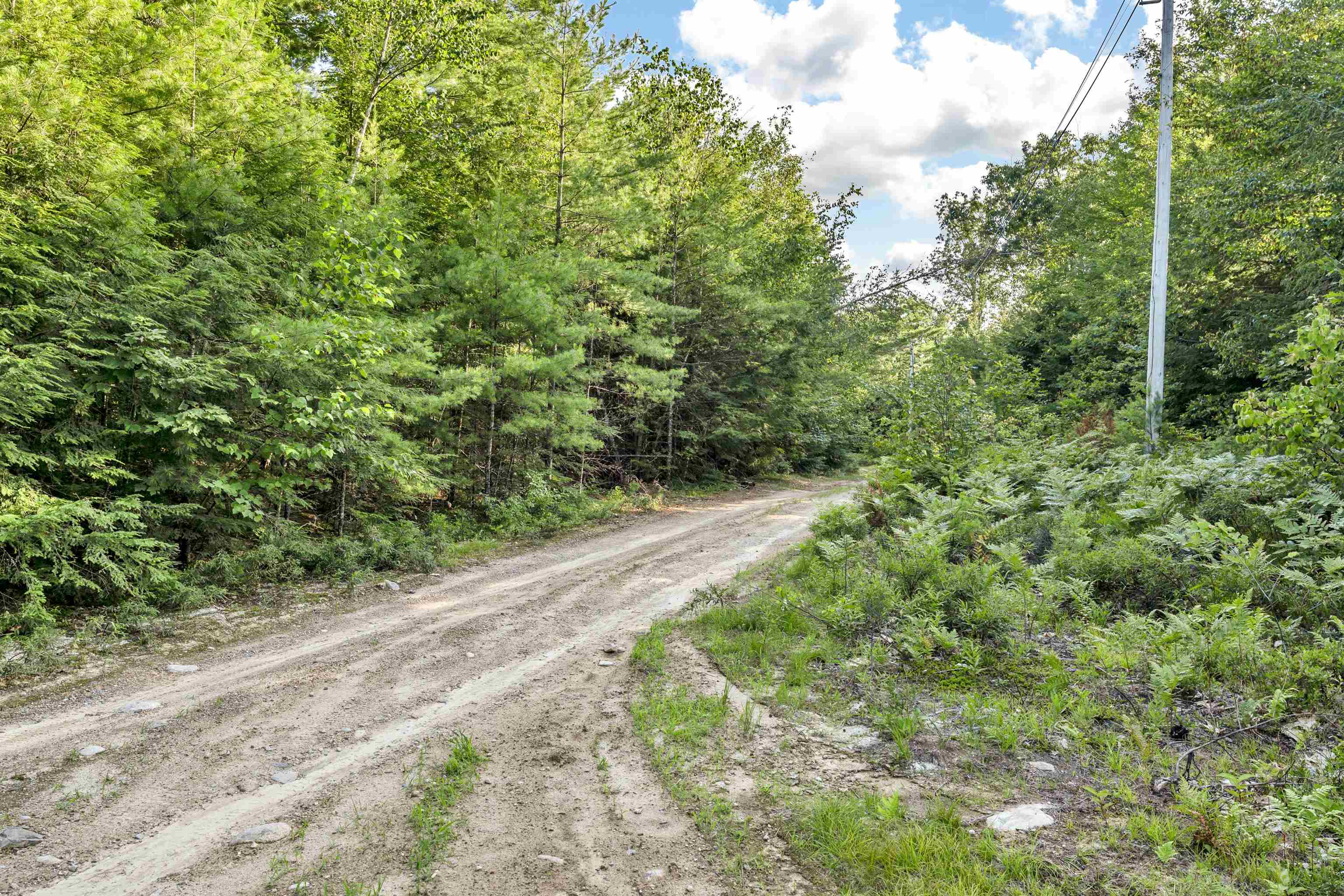 MLS #5058058 image #4