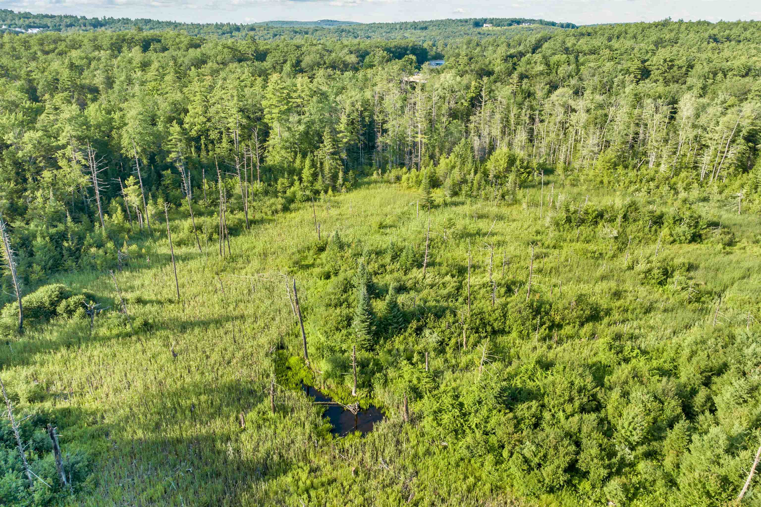 MLS #5058058 image #5