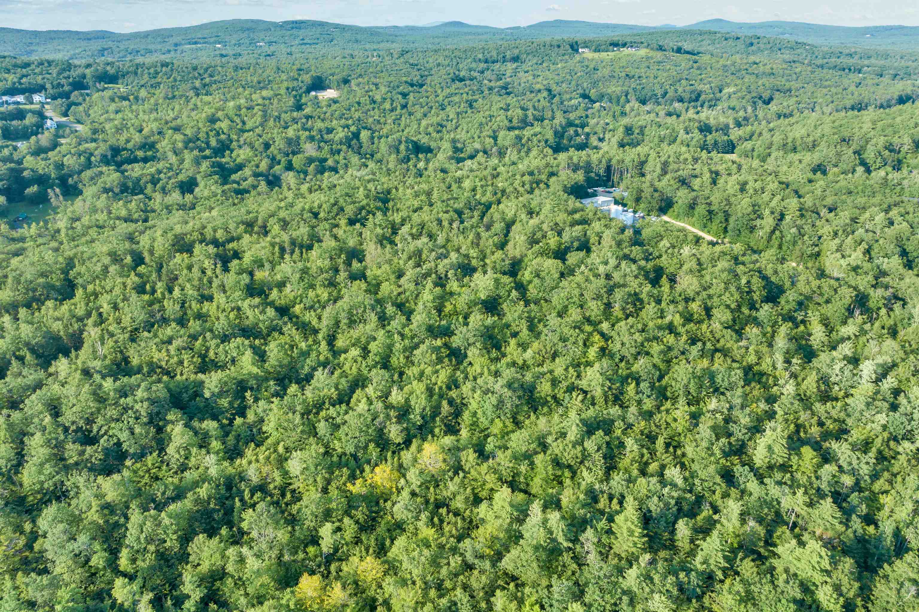 MLS #5058058 image #6