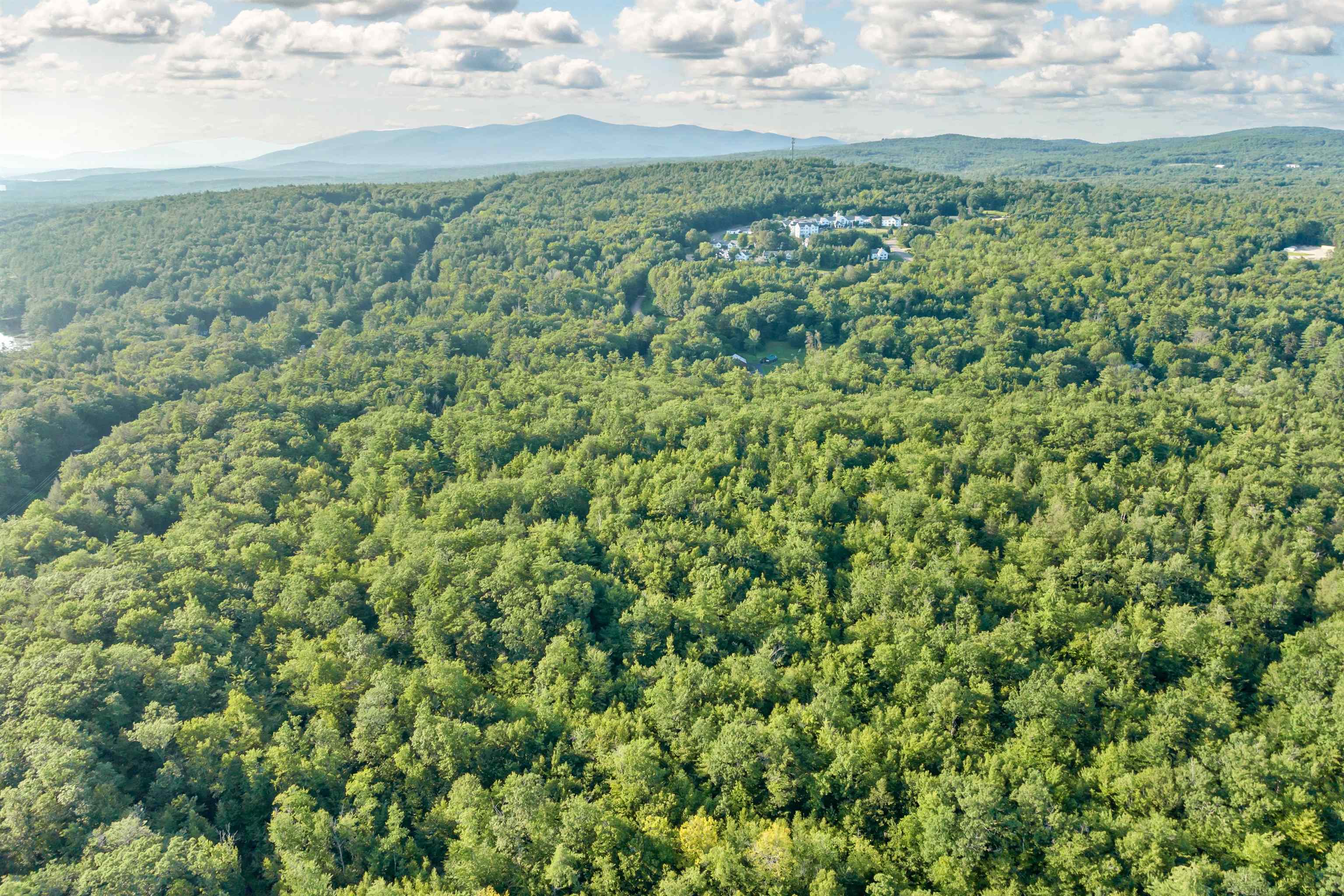 MLS #5058059 image #9