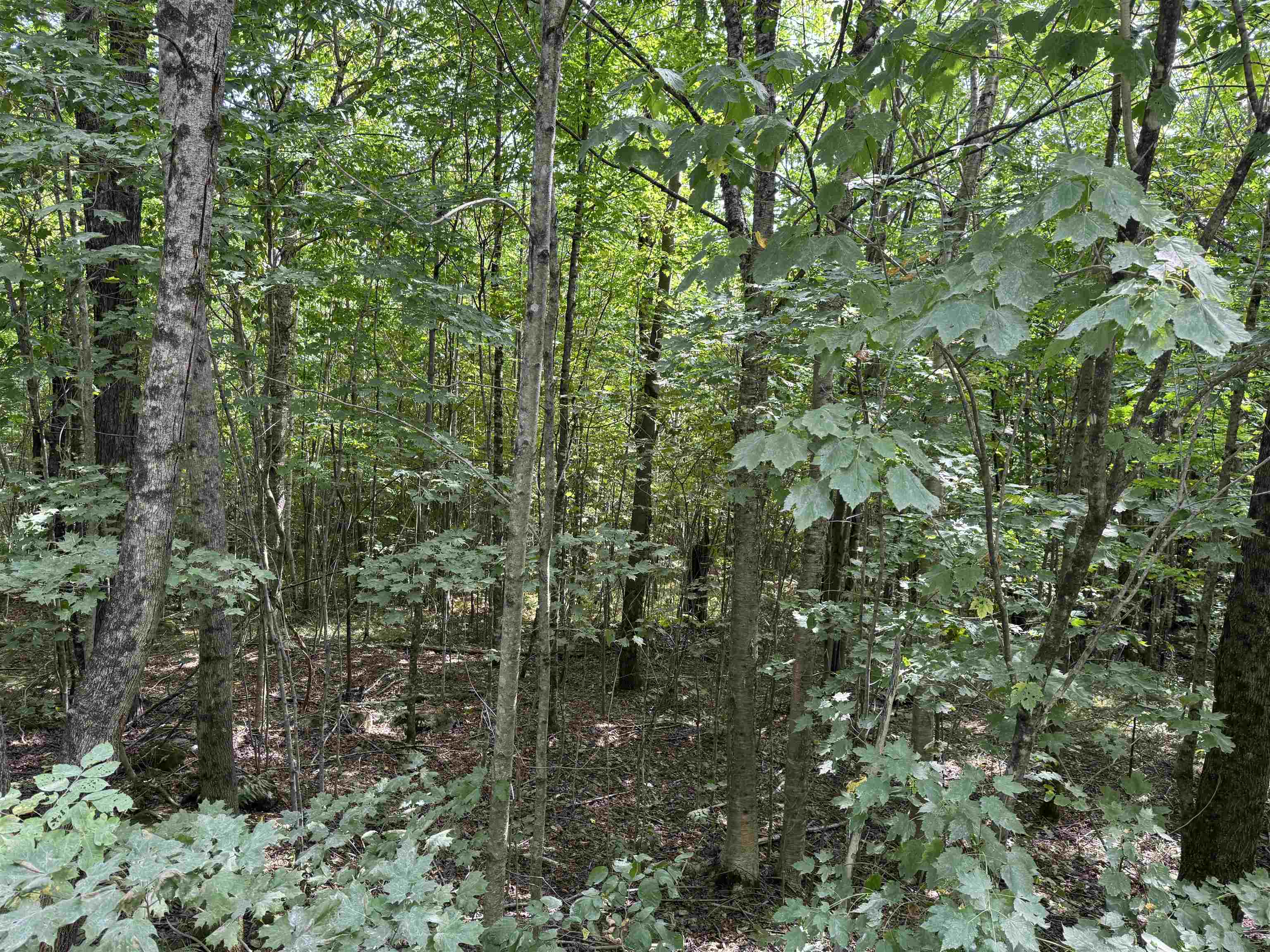 Homes for sale in Victory, VT | 647 Granby Rd, Victory, VT 05840 | MLS# 5058061