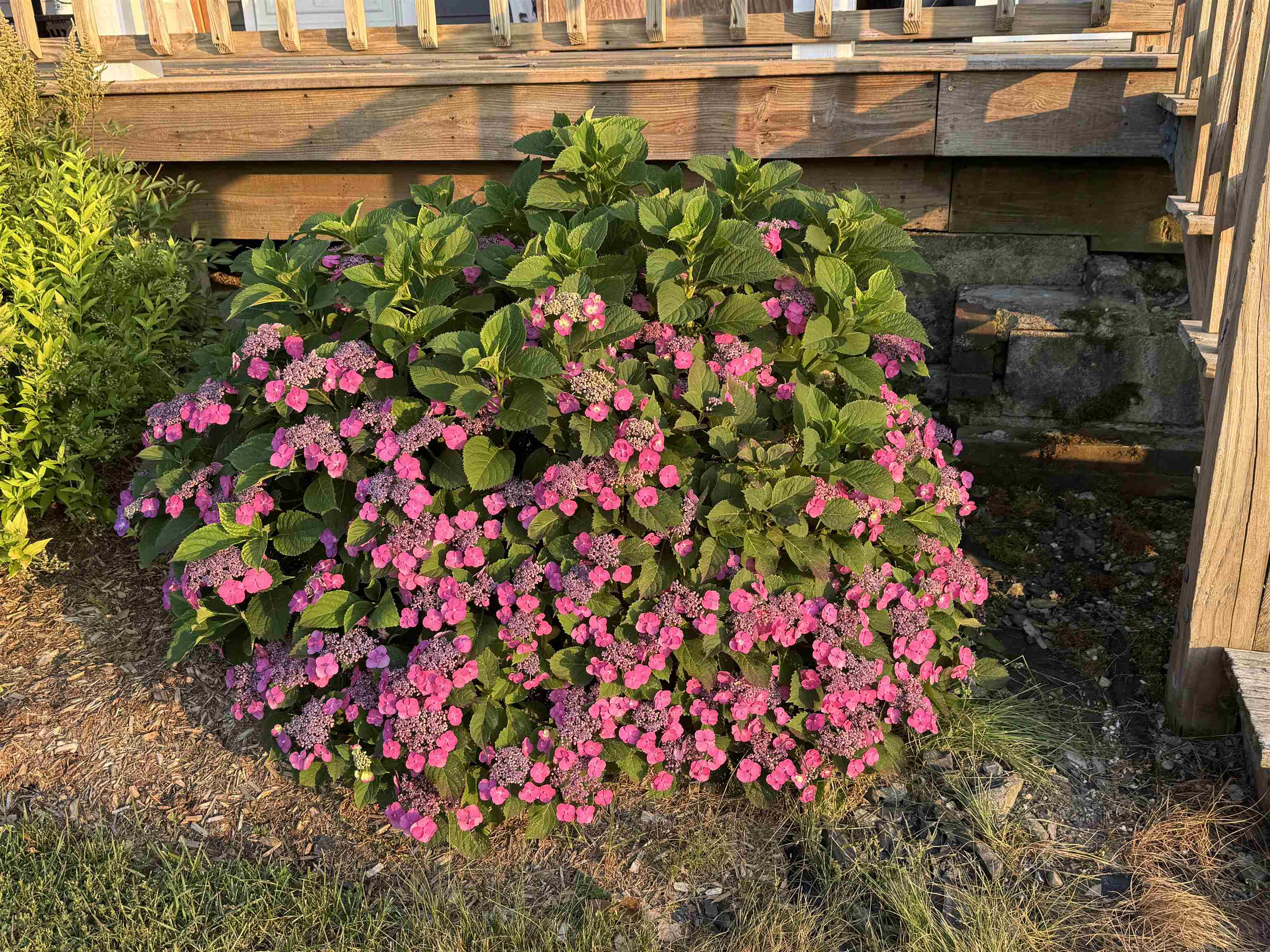 Homes for sale in Bridport, VT | 4351 Crown Point Rd, Bridport, VT 05734 | MLS# 5058068